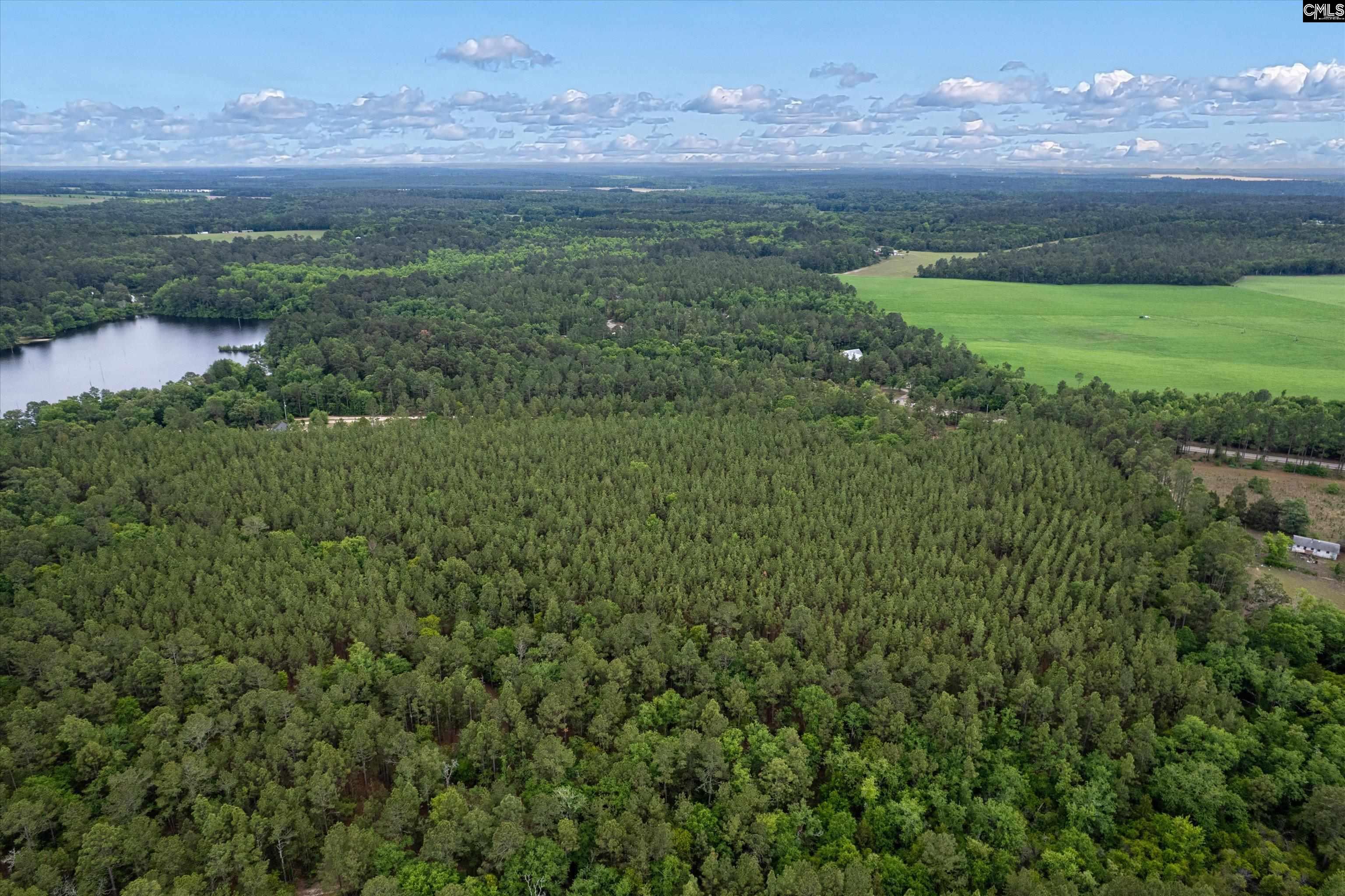 Pond Branch Road Gilbert, SC 29054