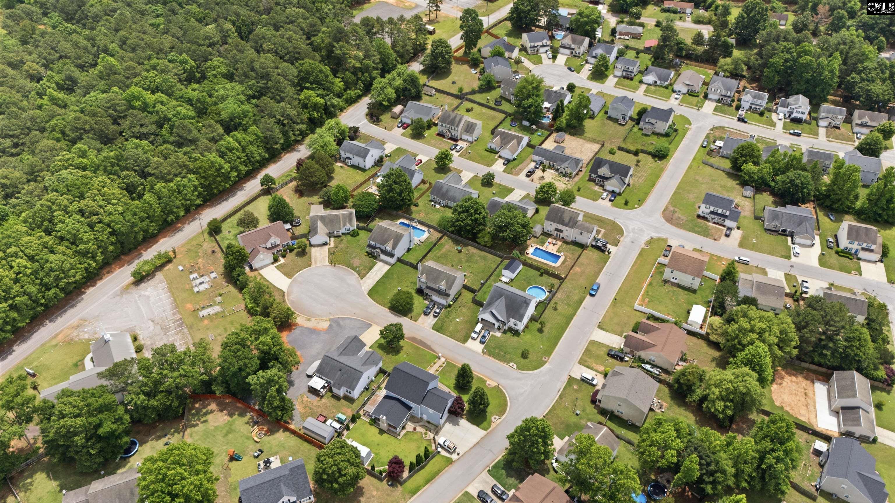 316 Turkey Beard Court Chapin, SC 29036