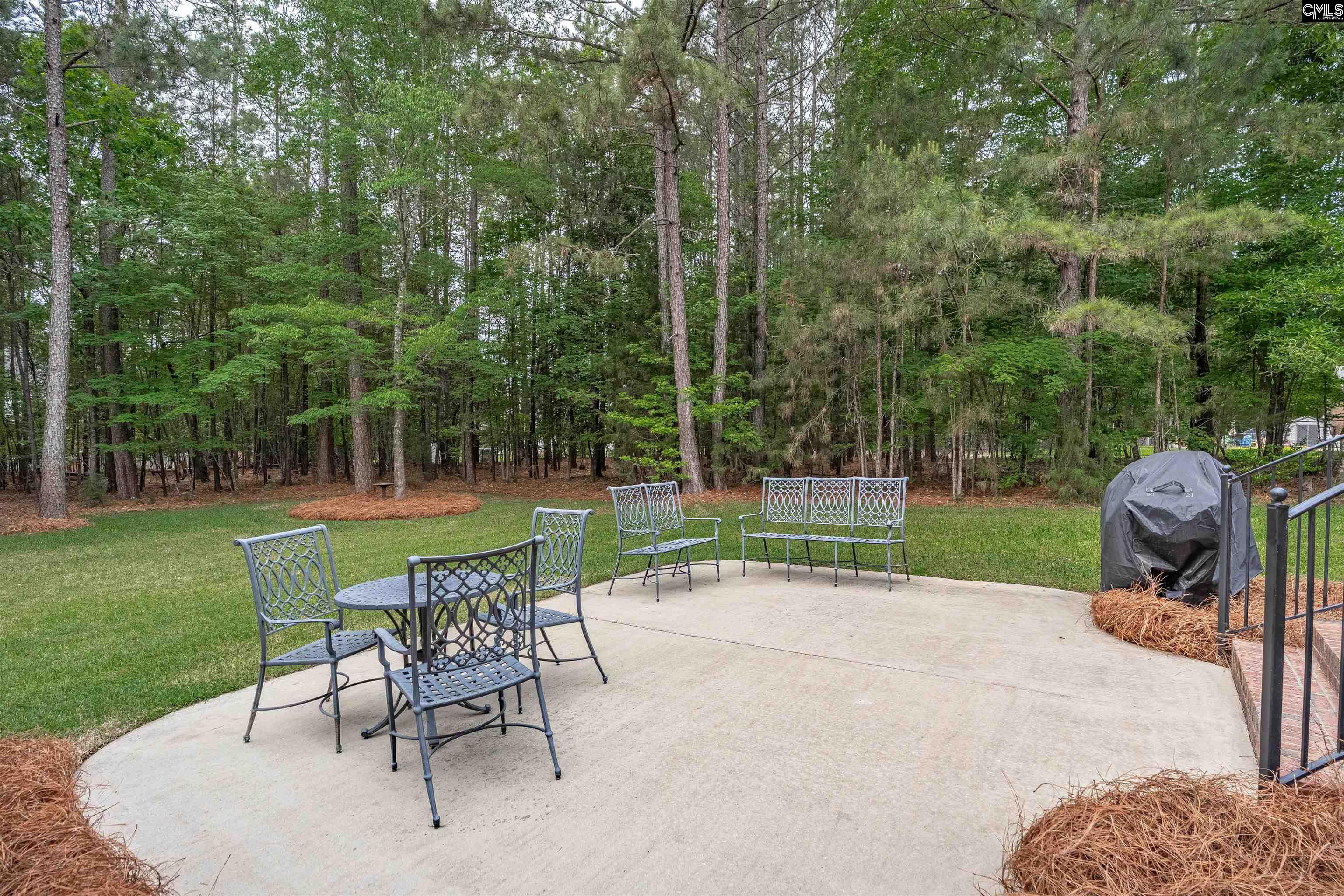 126 Pebblebranch Drive Chapin, SC 29036