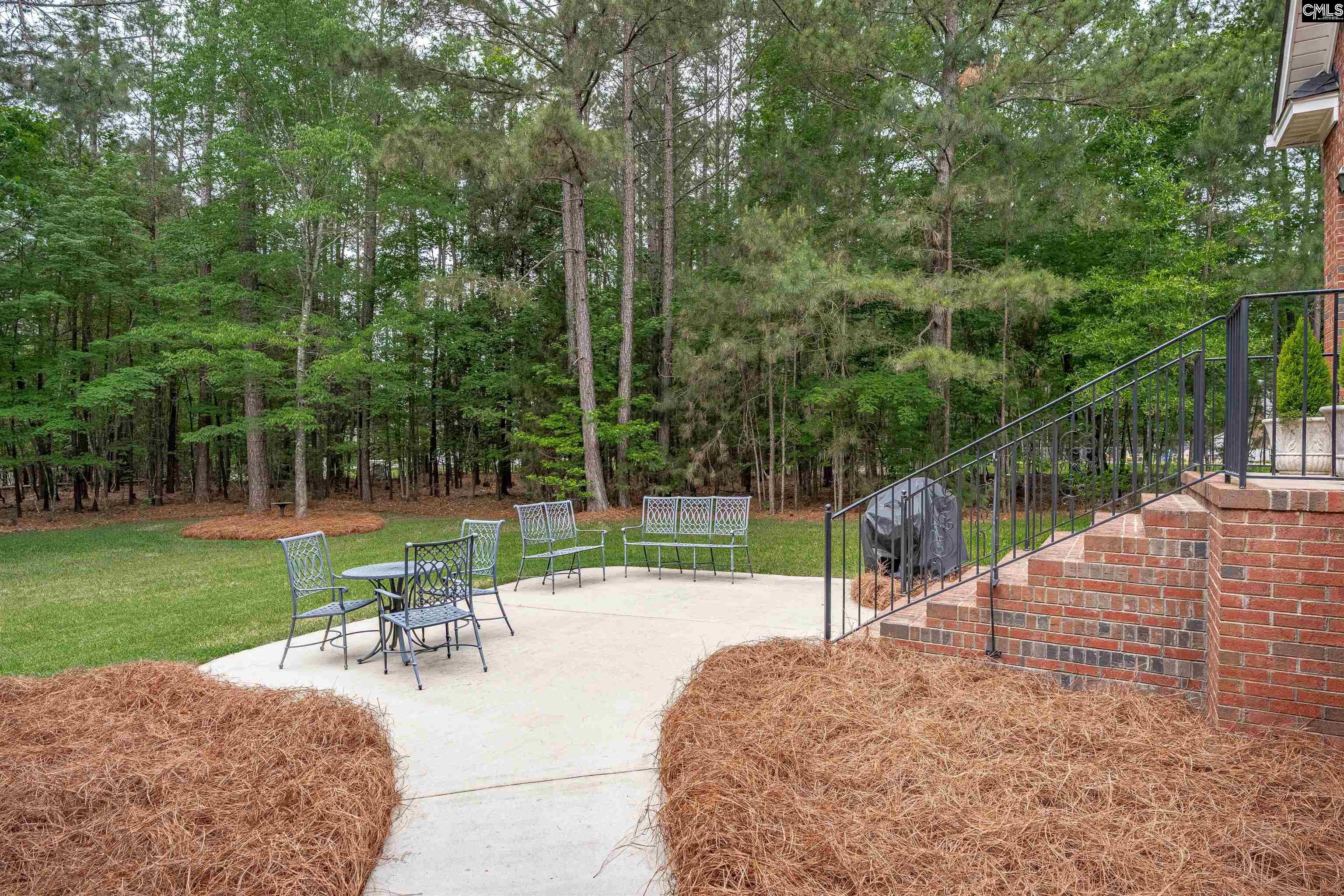 126 Pebblebranch Drive Chapin, SC 29036