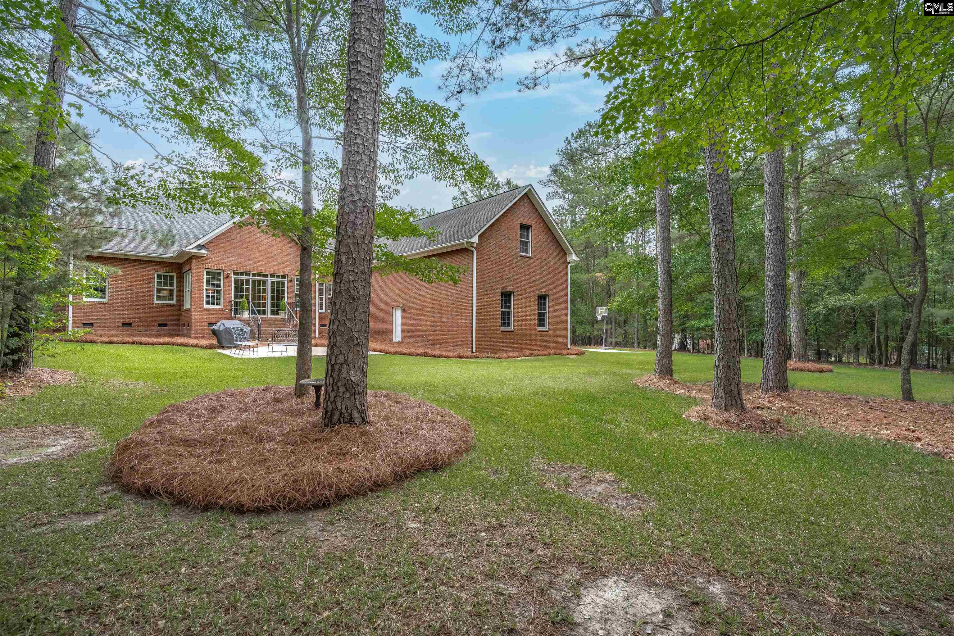 126 Pebblebranch Drive Chapin, SC 29036