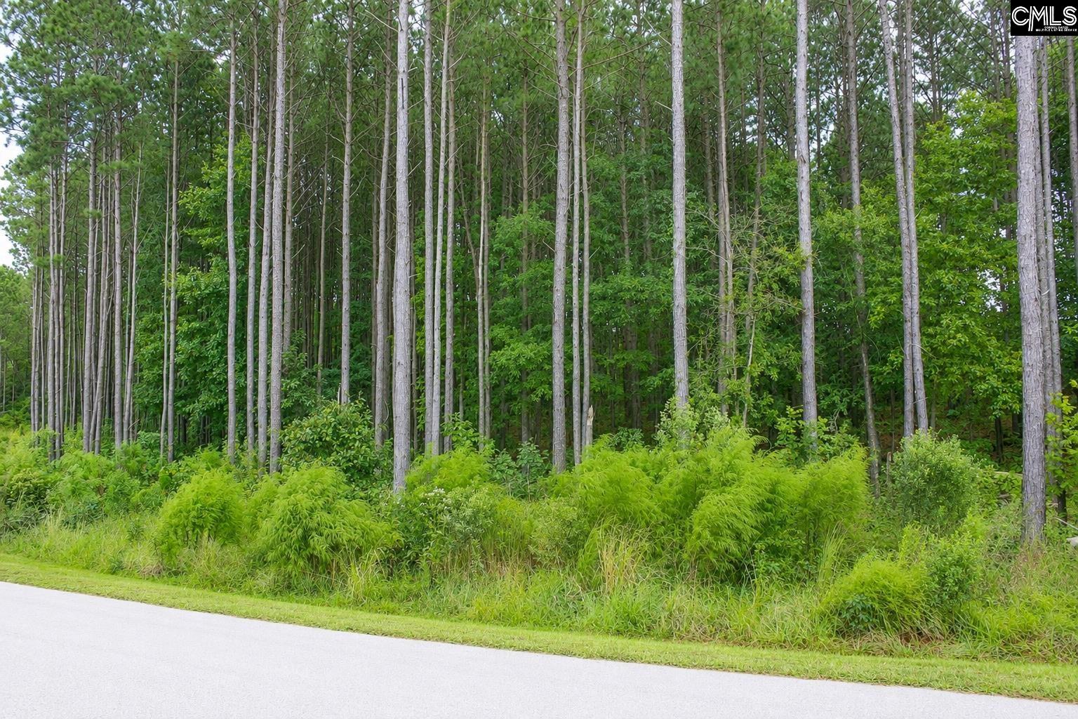 Clouds Creek Circle UNIT #94 Leesville, SC 29070