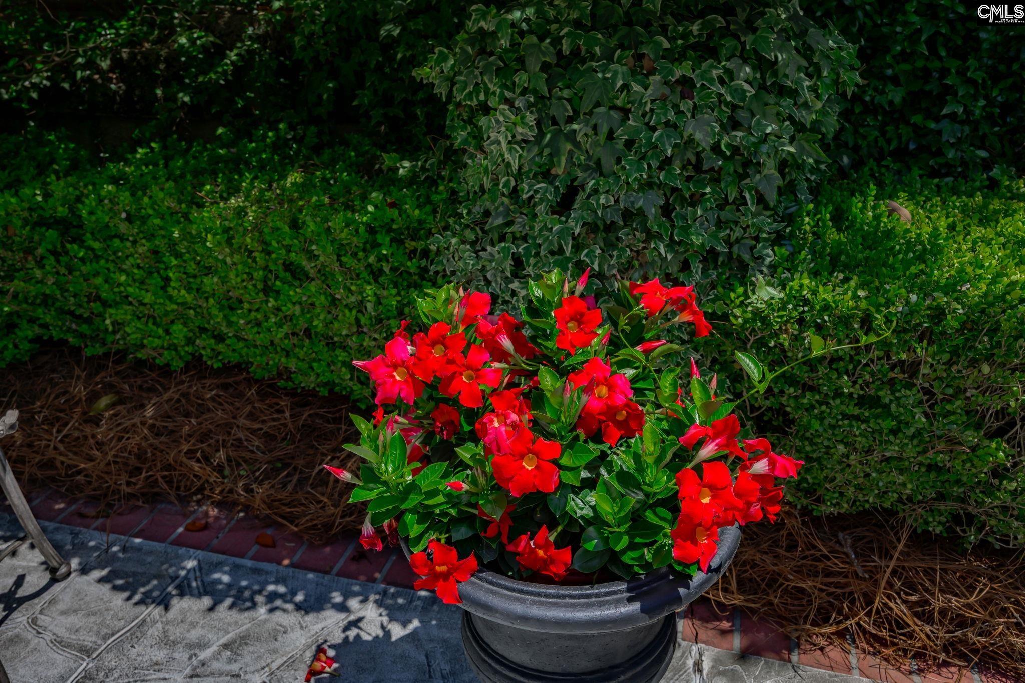 120 Pilgrim Point Lexington, SC 29072