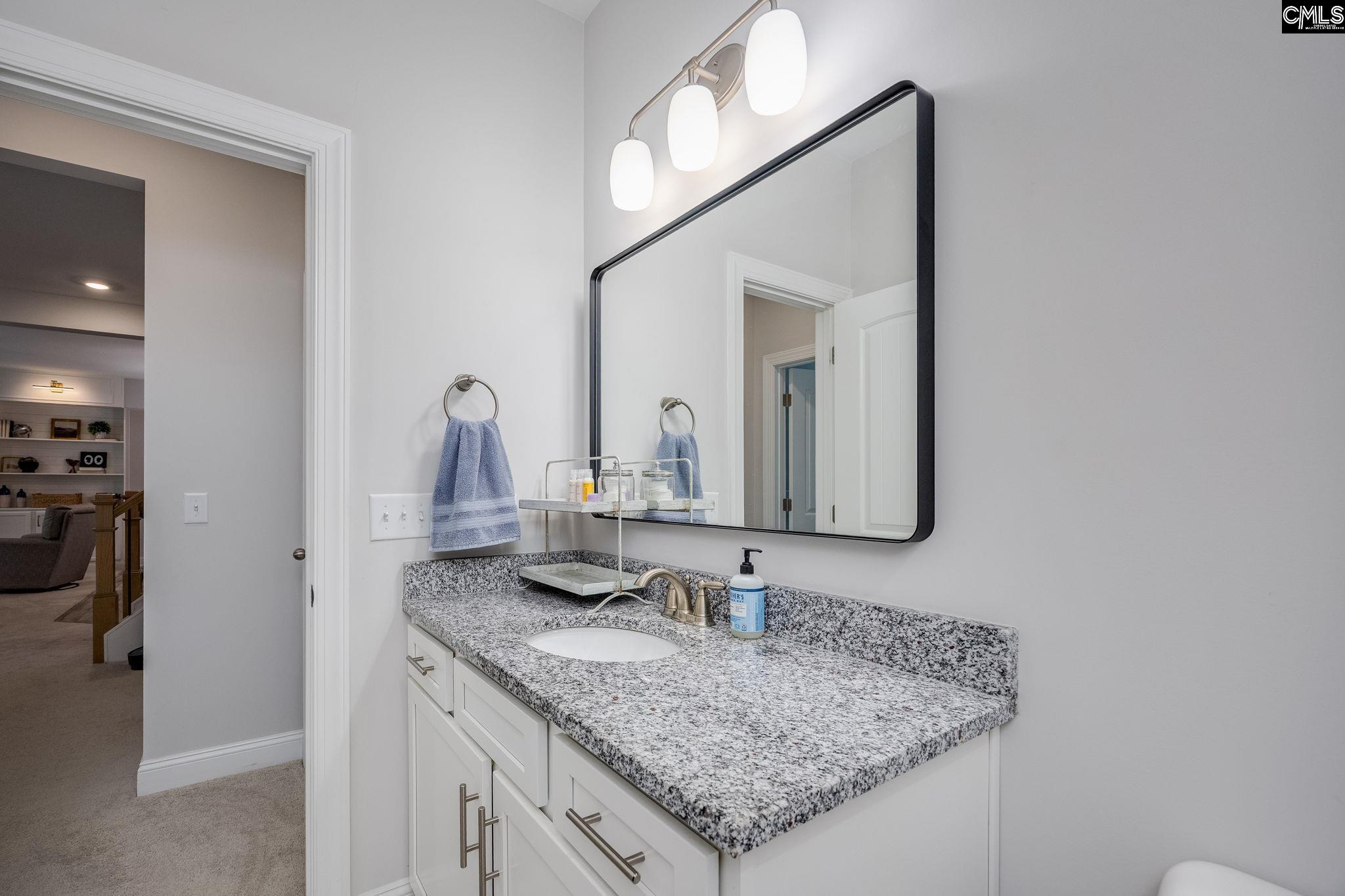 163 Highgate Lane Chapin, SC 29036