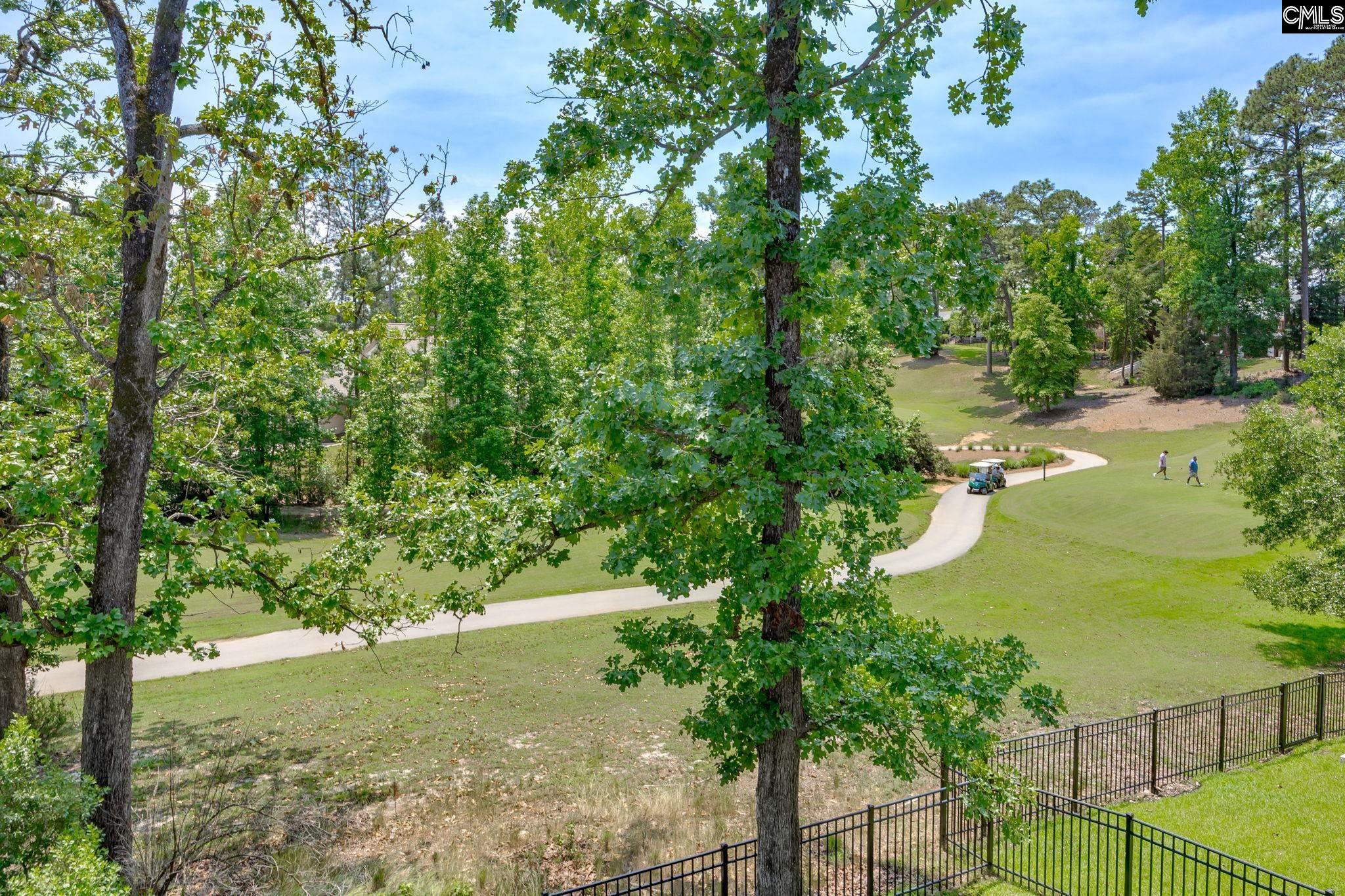 163 Highgate Lane Chapin, SC 29036