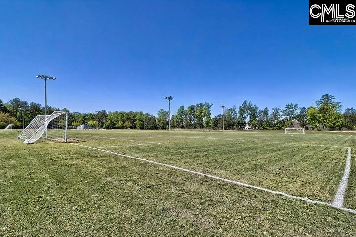 720 Feldspar Court Chapin, SC 29036