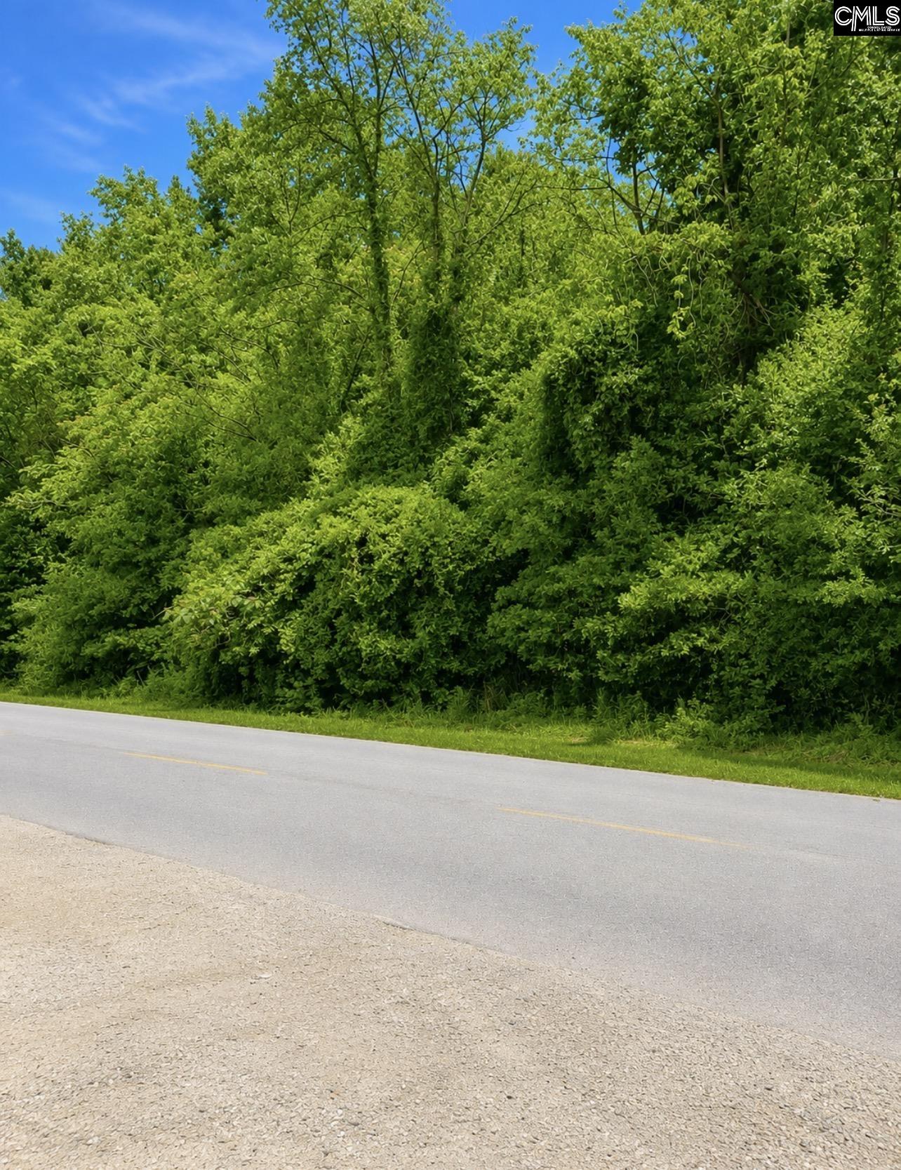 1288 Maple Avenue Denmark, SC 29042
