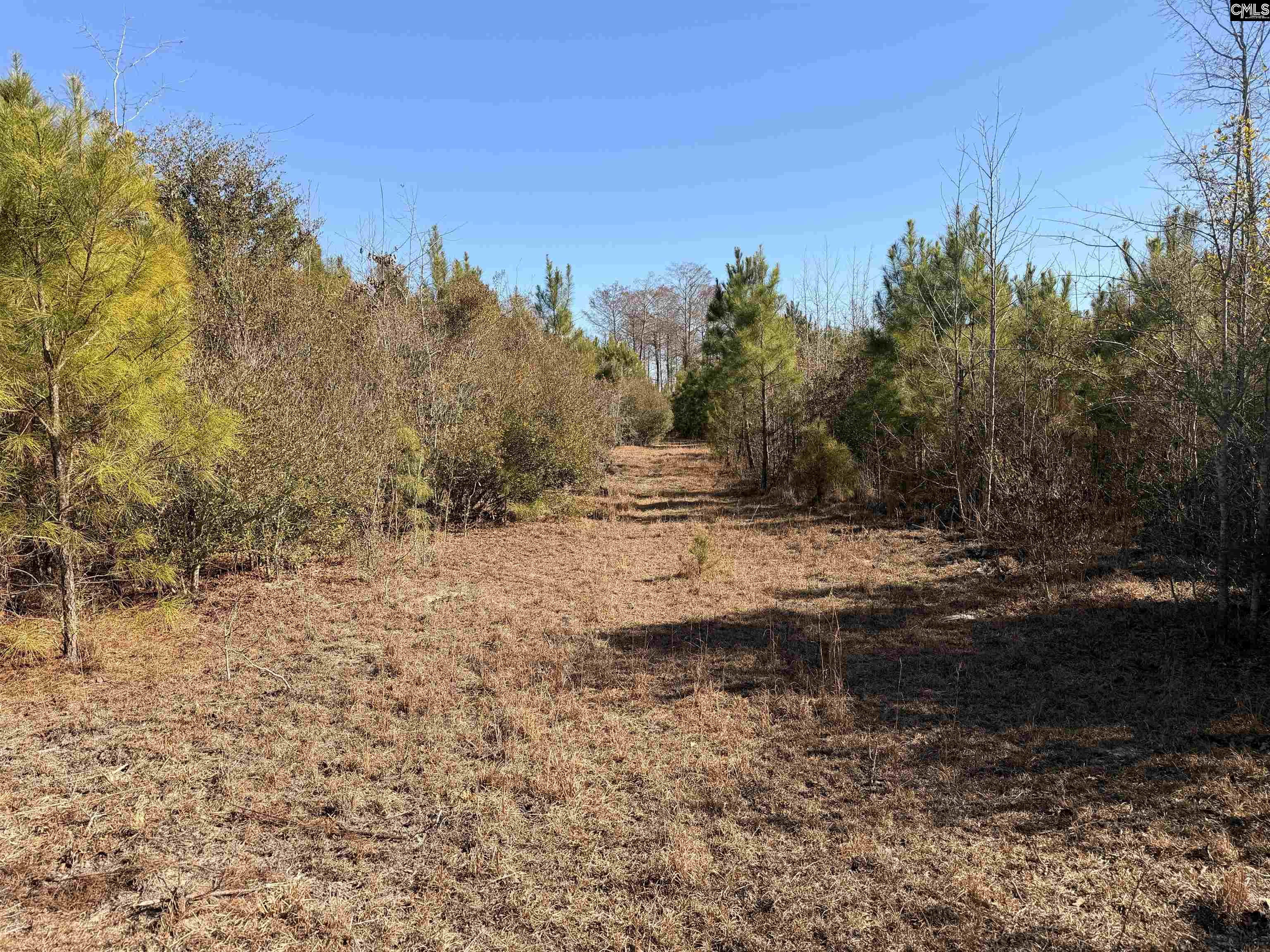 Proctor Road Cope, SC 29038