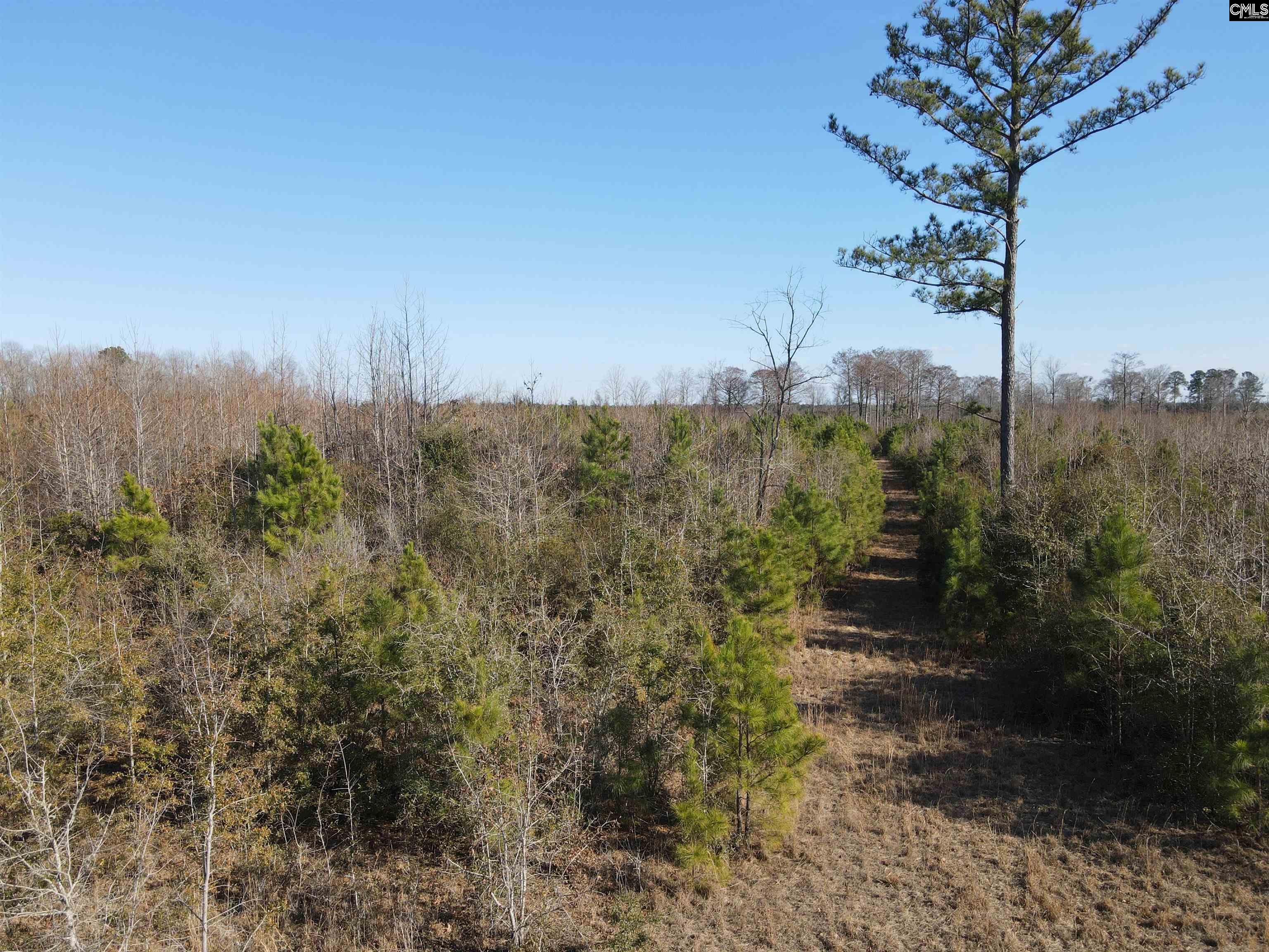 Proctor Road Cope, SC 29038