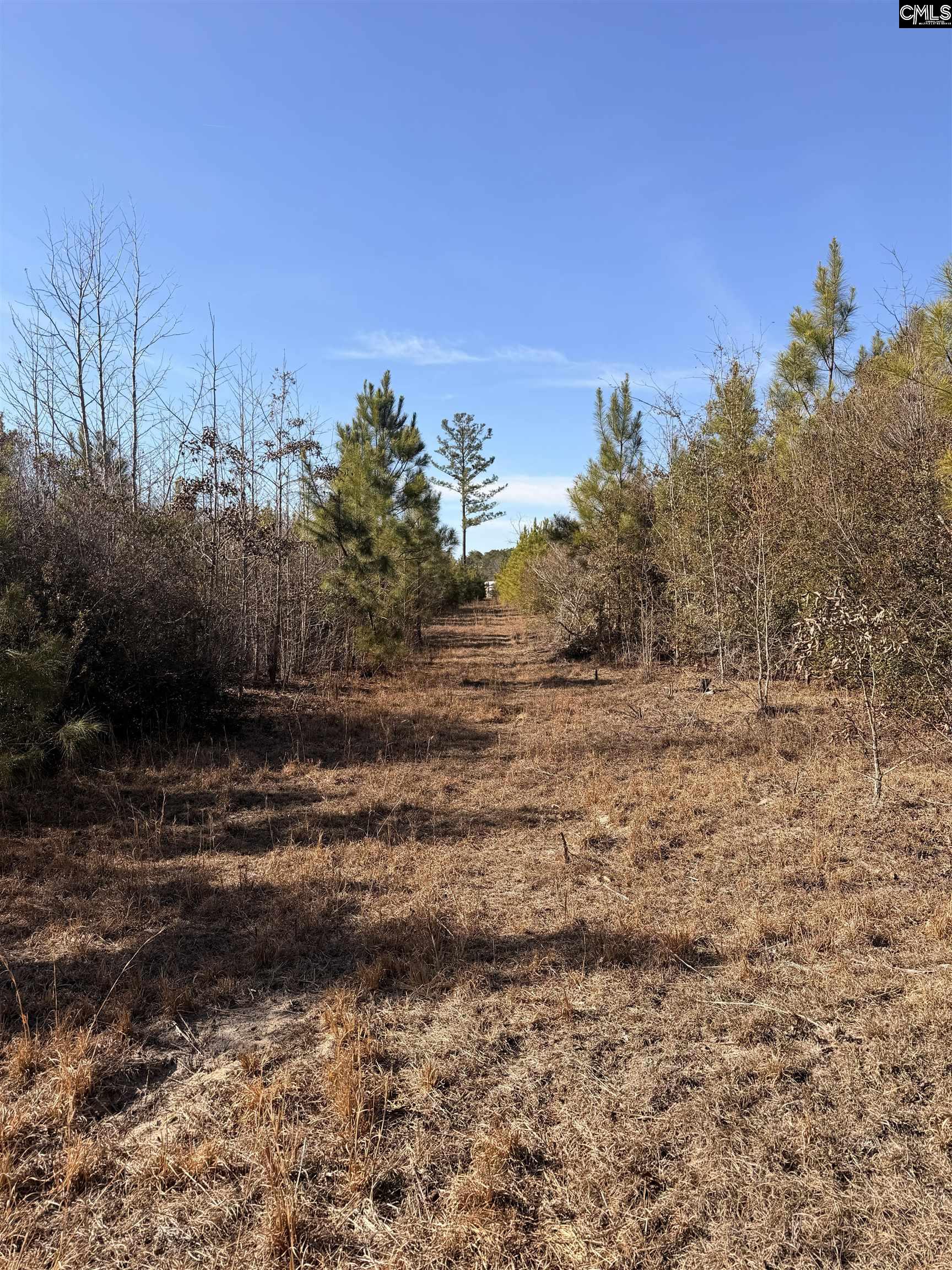 Proctor Road Cope, SC 29038