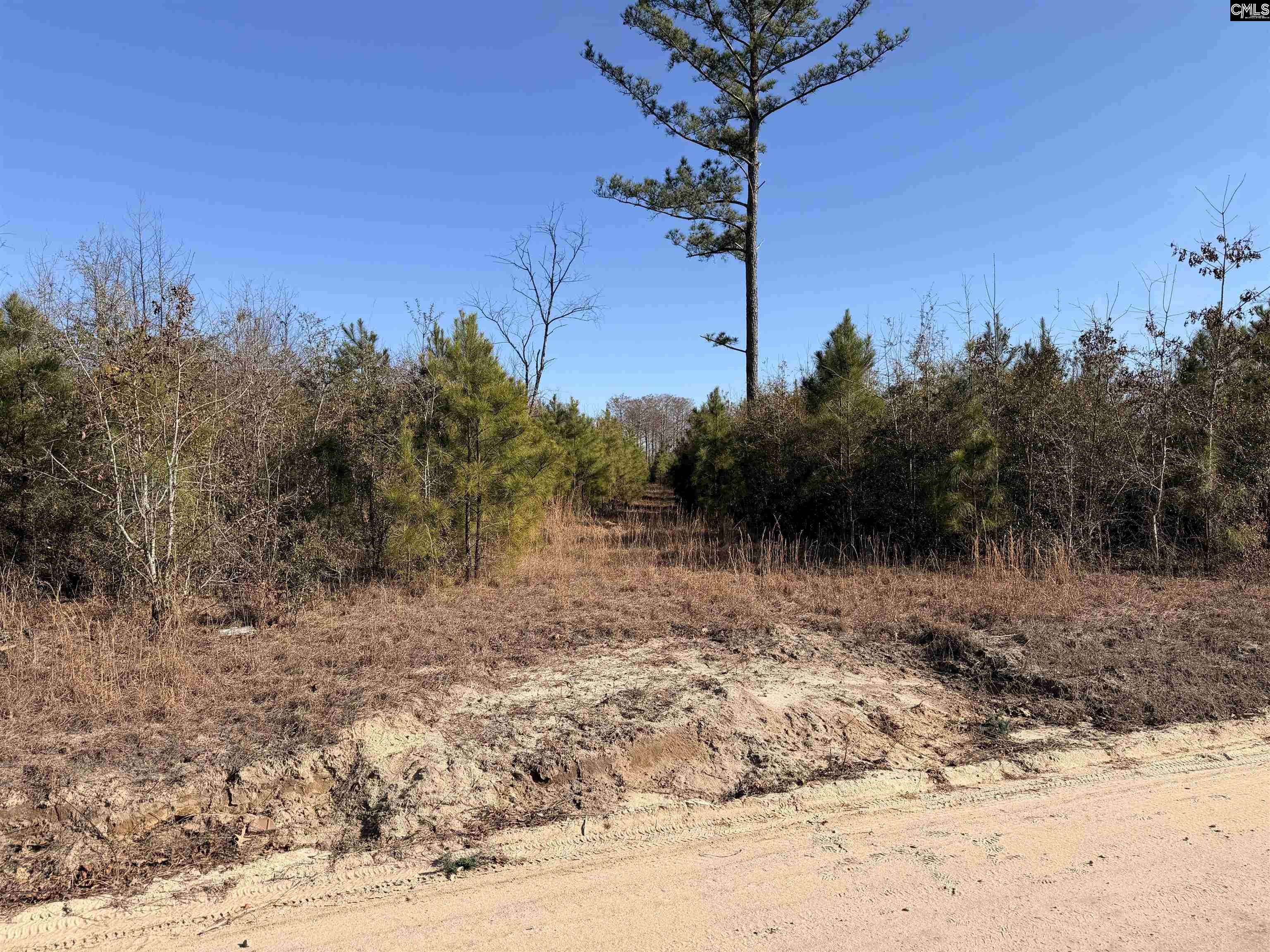 Proctor Road Cope, SC 29038