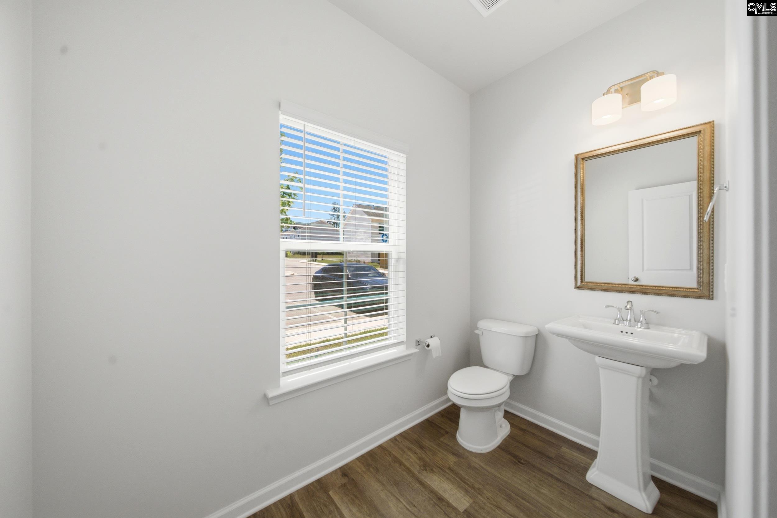 828 Yellow Swan Lane Columbia, SC 29210