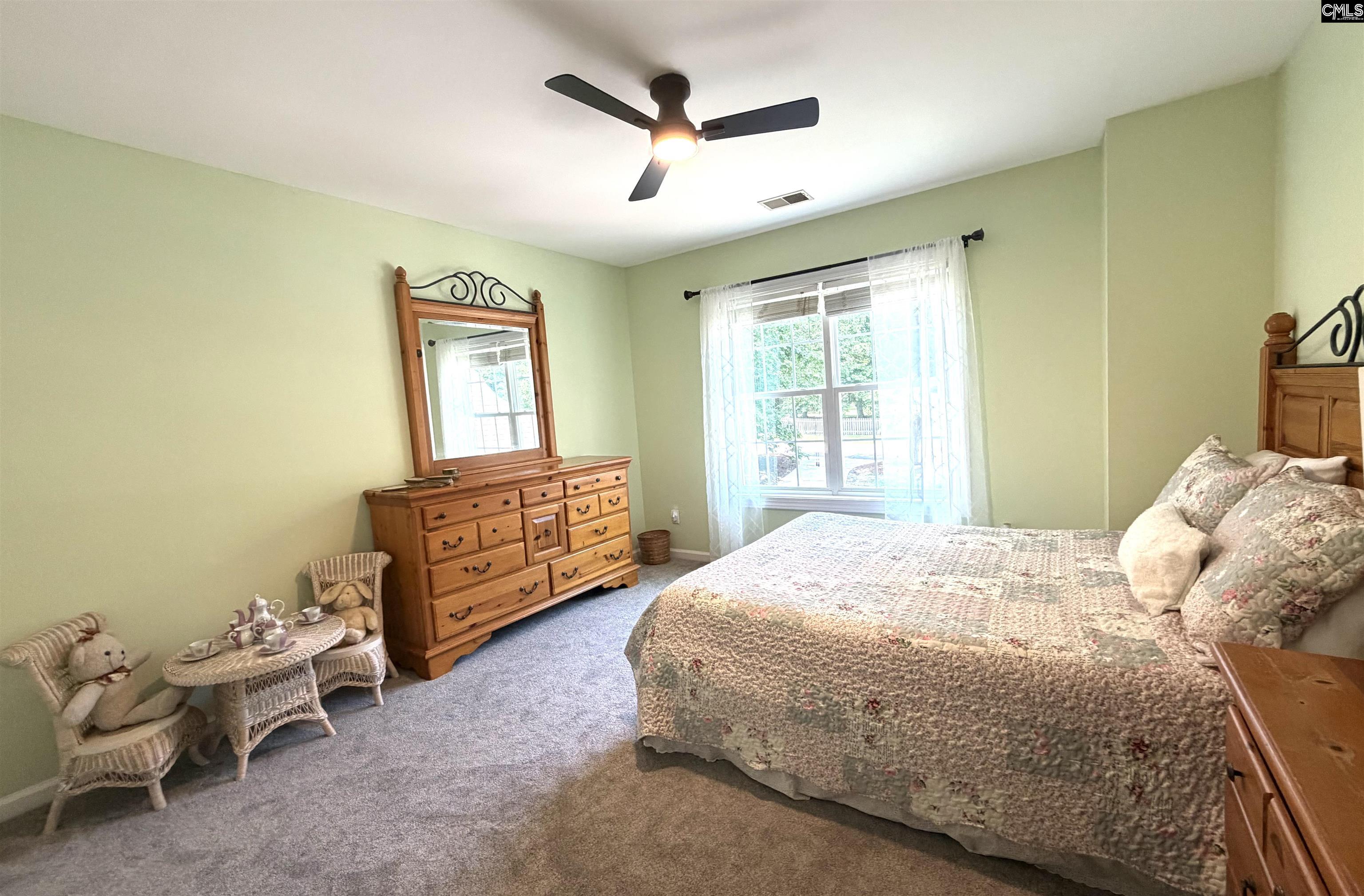 140 Rum Gully Lane Chapin, SC 29036