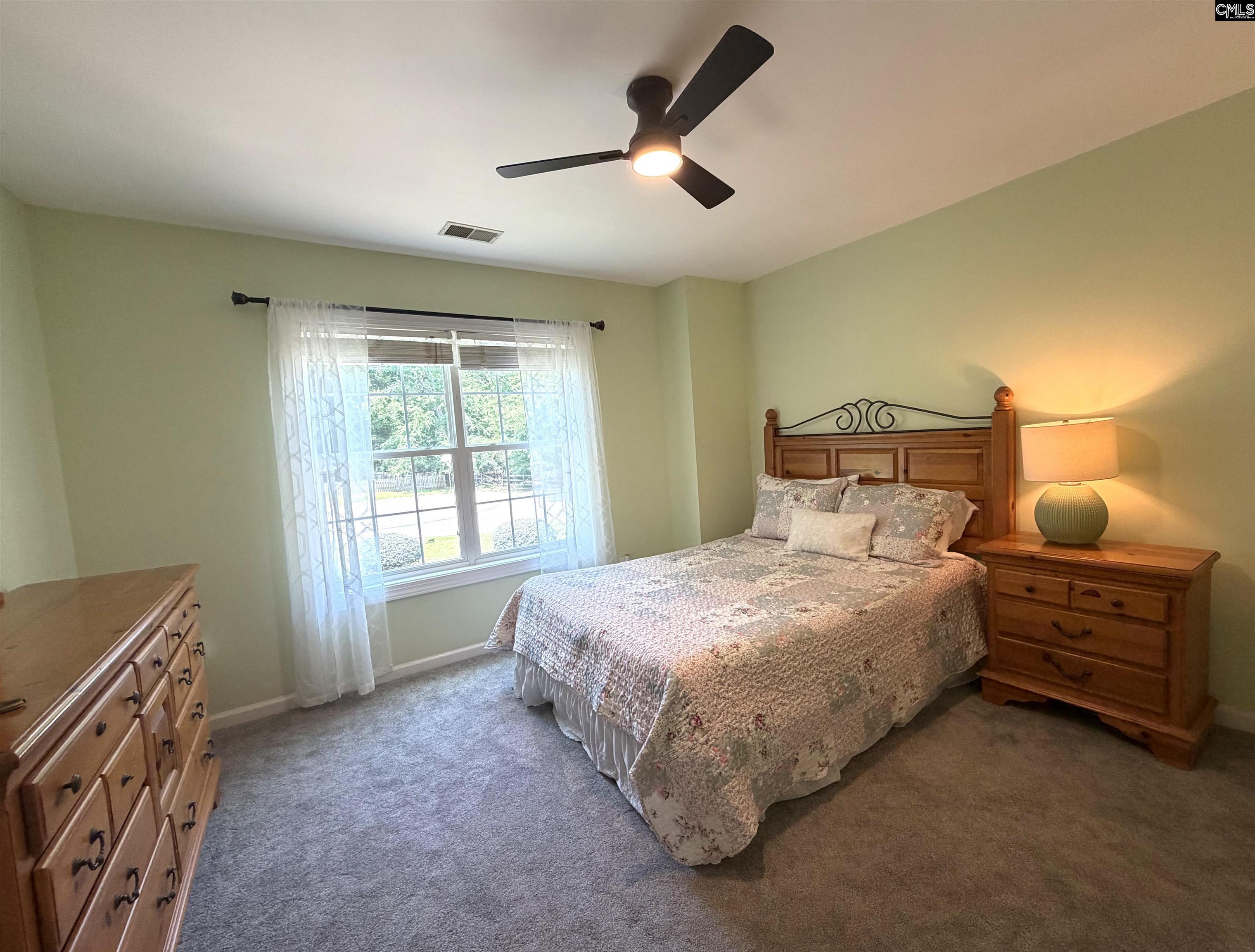 140 Rum Gully Lane Chapin, SC 29036