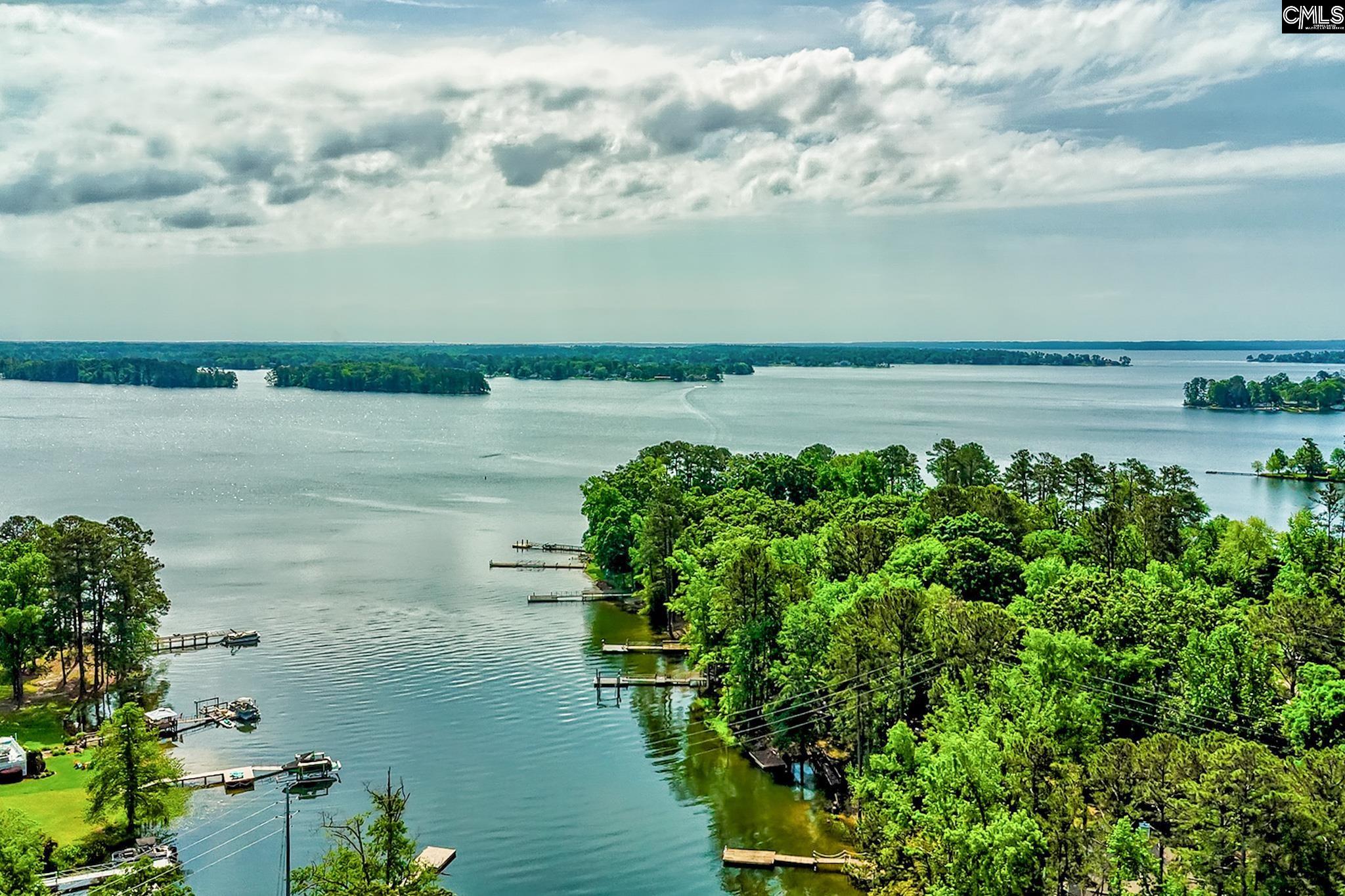 140 Rum Gully Lane Chapin, SC 29036