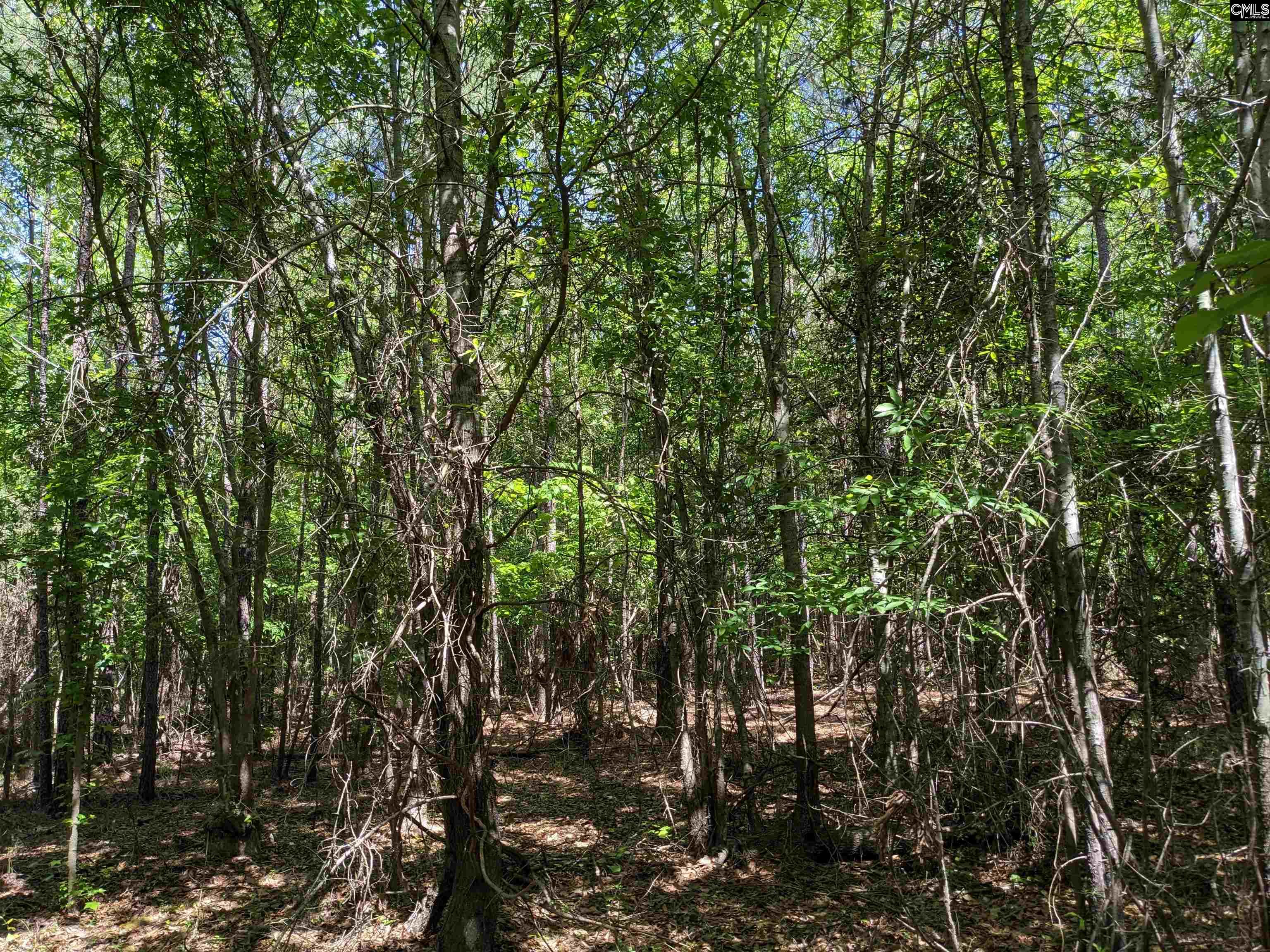 Jewel Drive Winnsboro, SC 29180