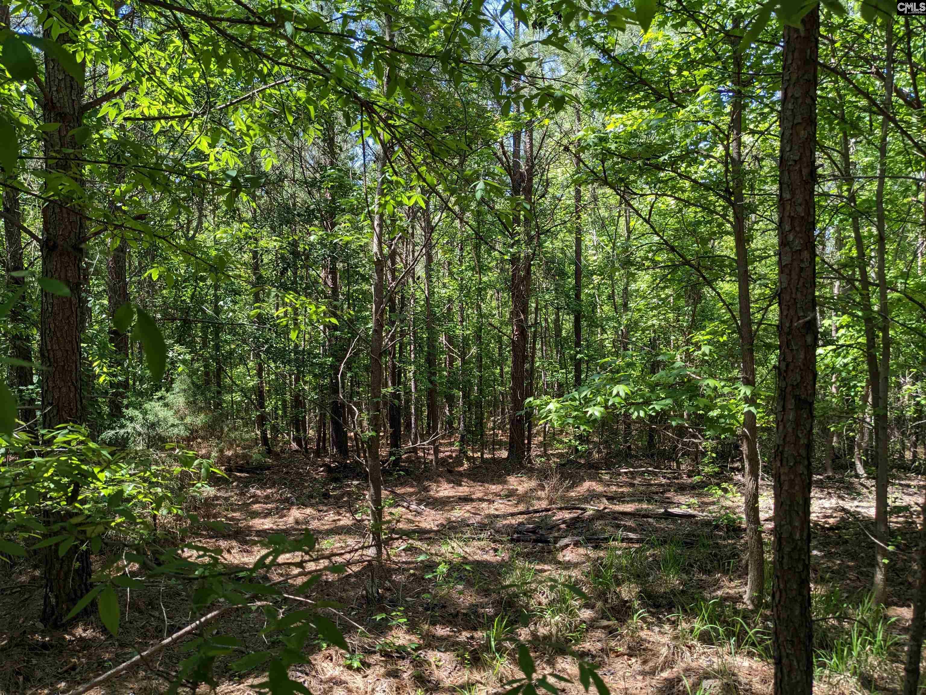 Jewel Drive Winnsboro, SC 29180