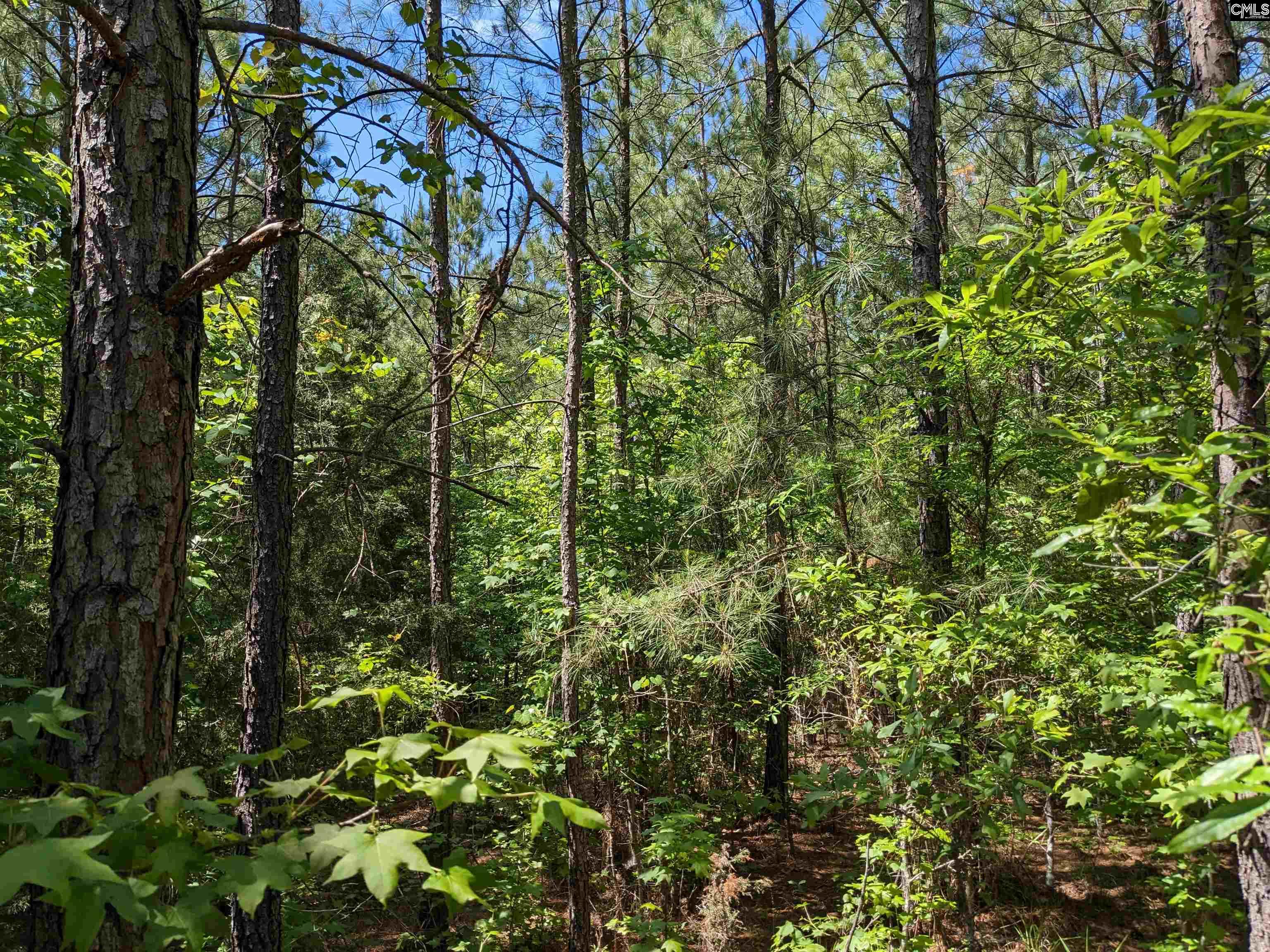 Jewel Drive Winnsboro, SC 29180