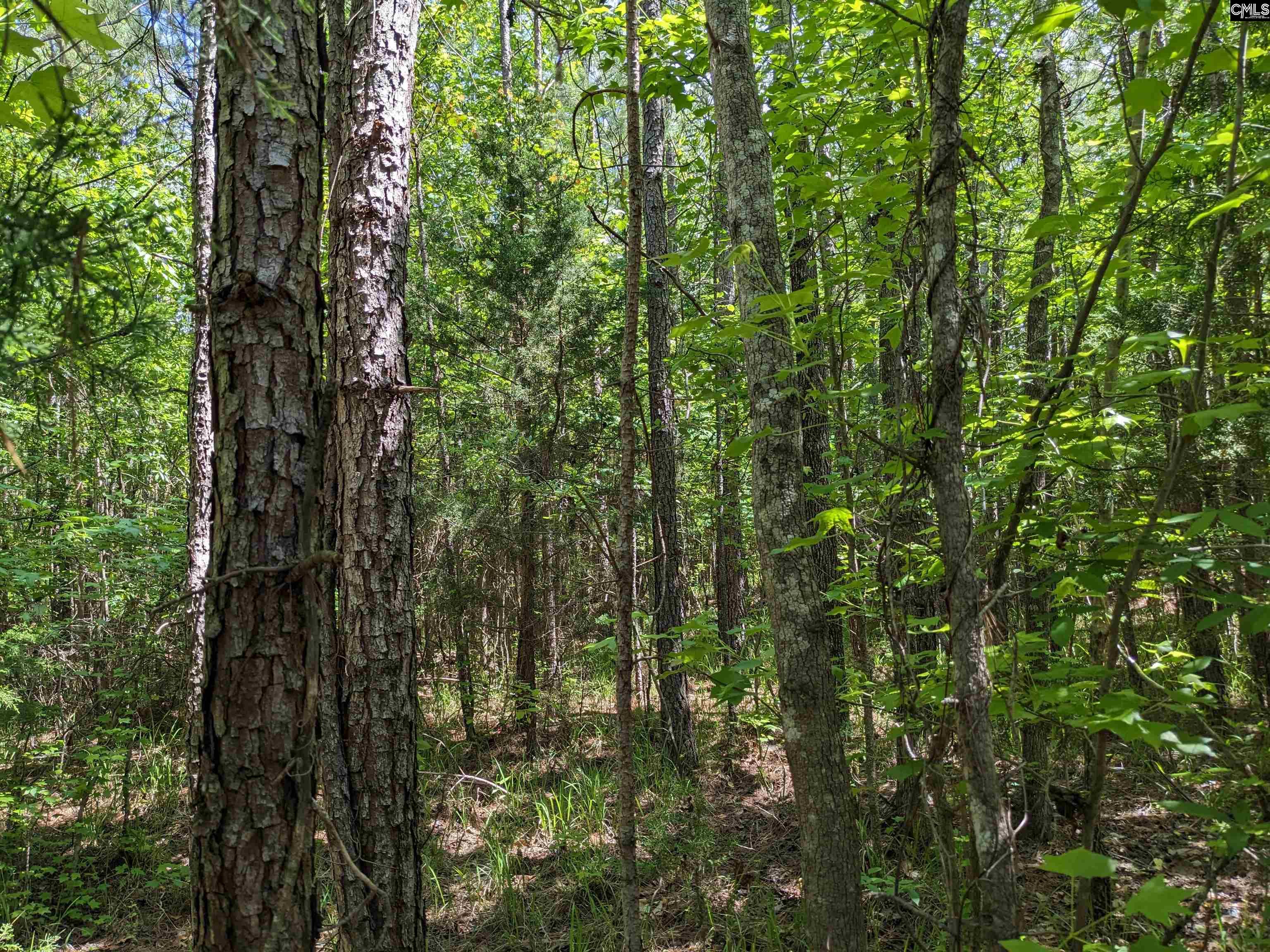 Jewel Drive Winnsboro, SC 29180