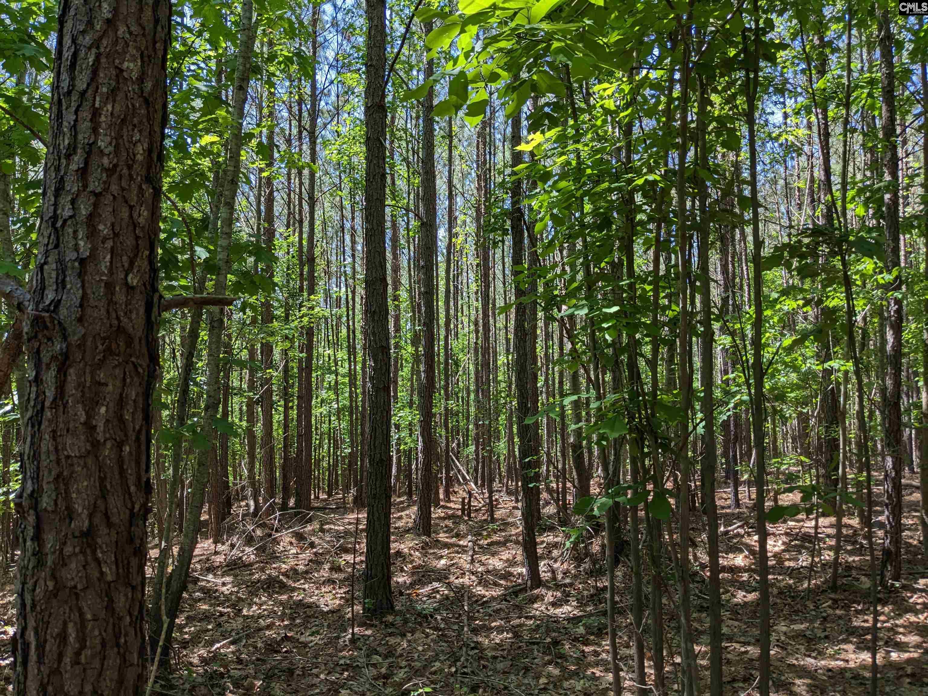 Jewel Drive Winnsboro, SC 29180