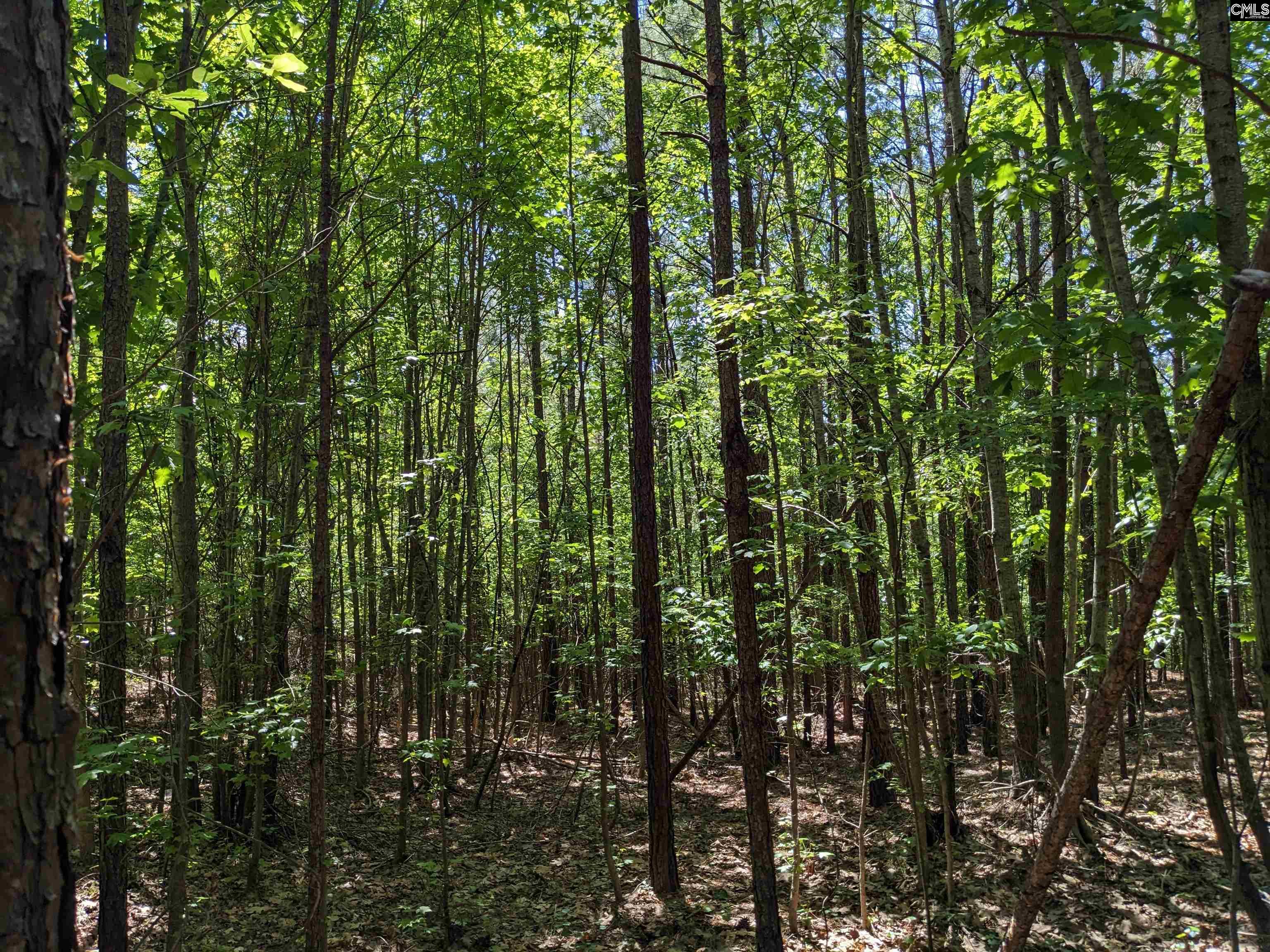 Jewel Drive Winnsboro, SC 29180