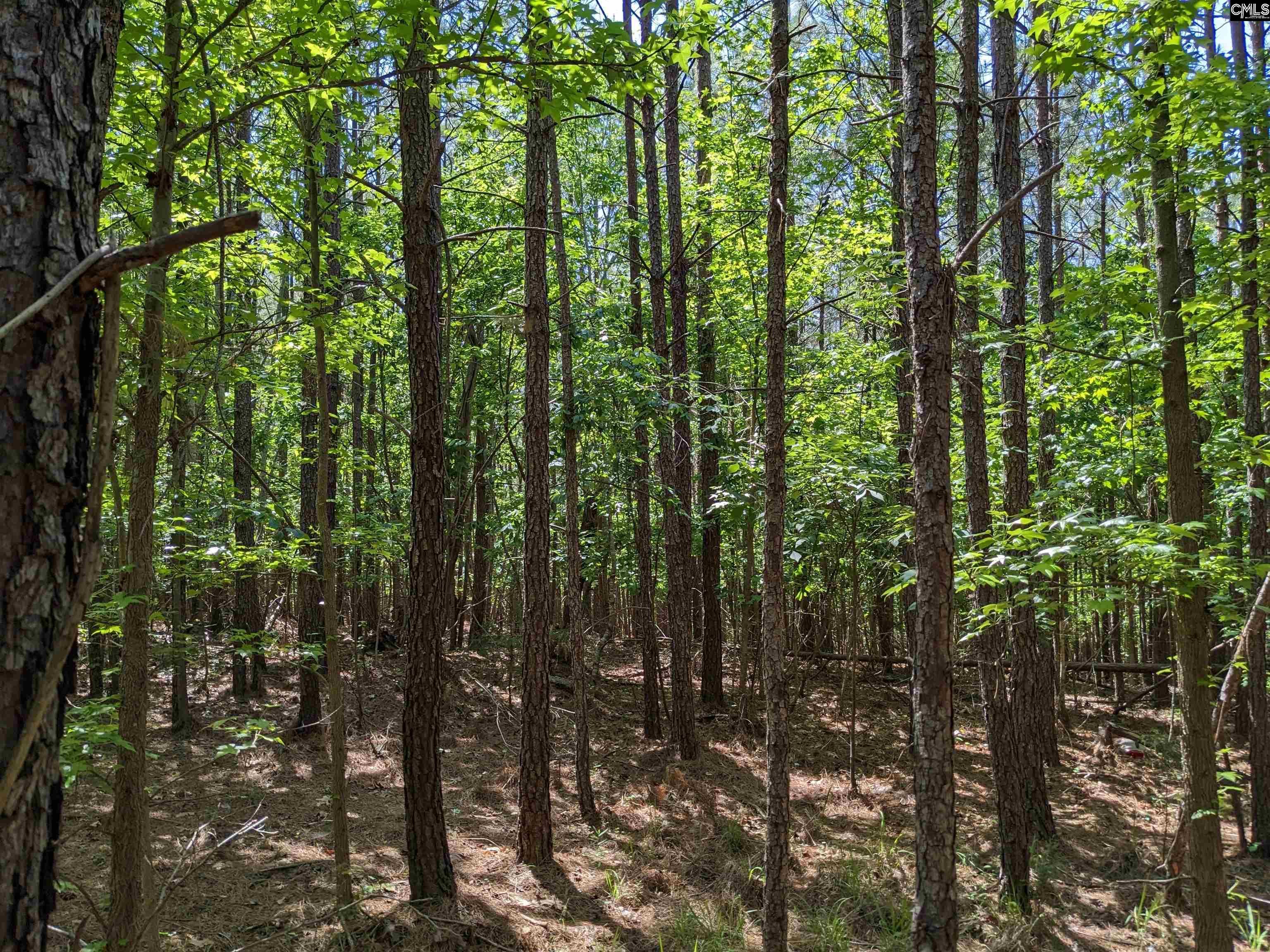 Jewel Drive Winnsboro, SC 29180