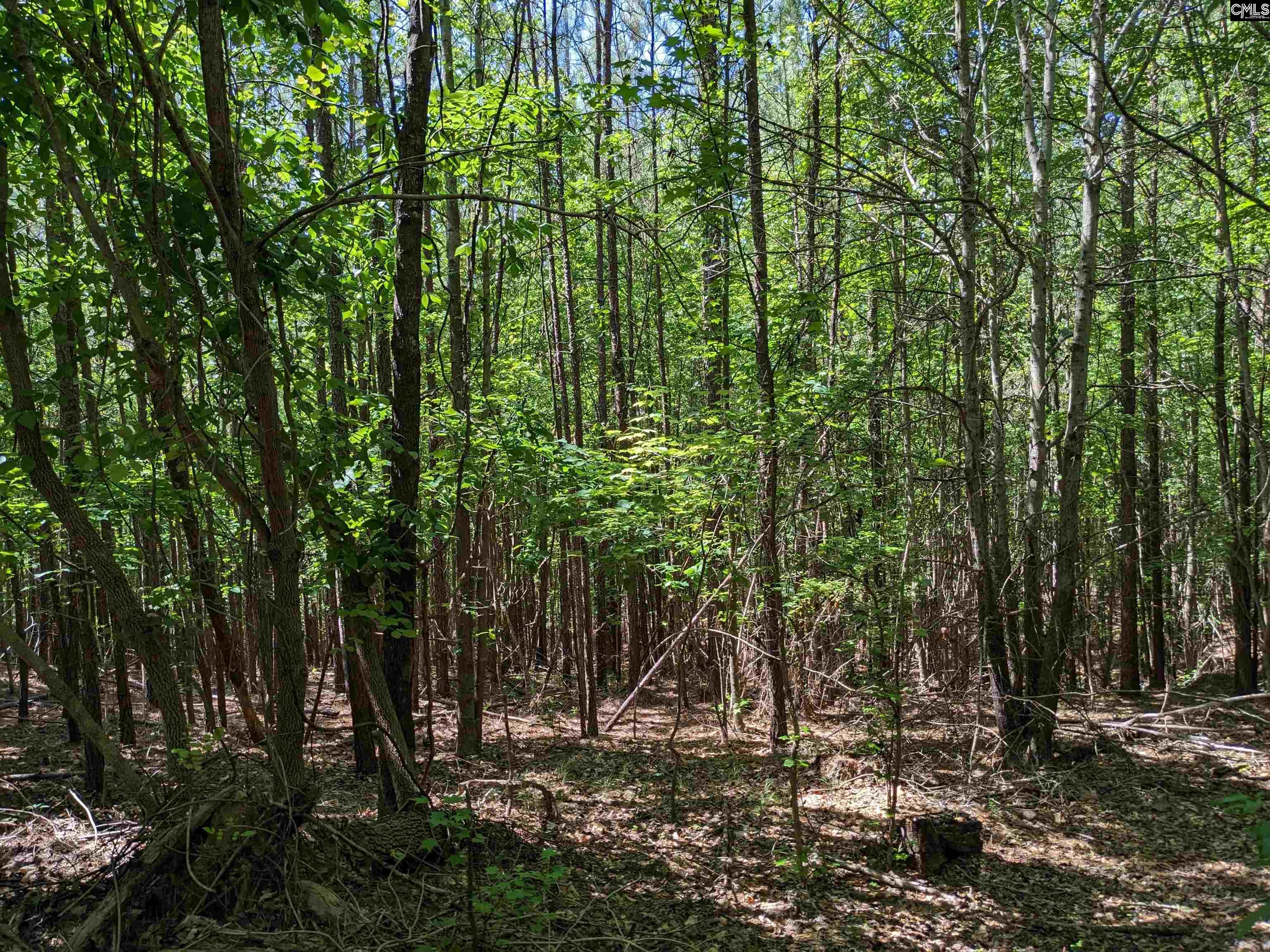 Jewel Drive Winnsboro, SC 29180
