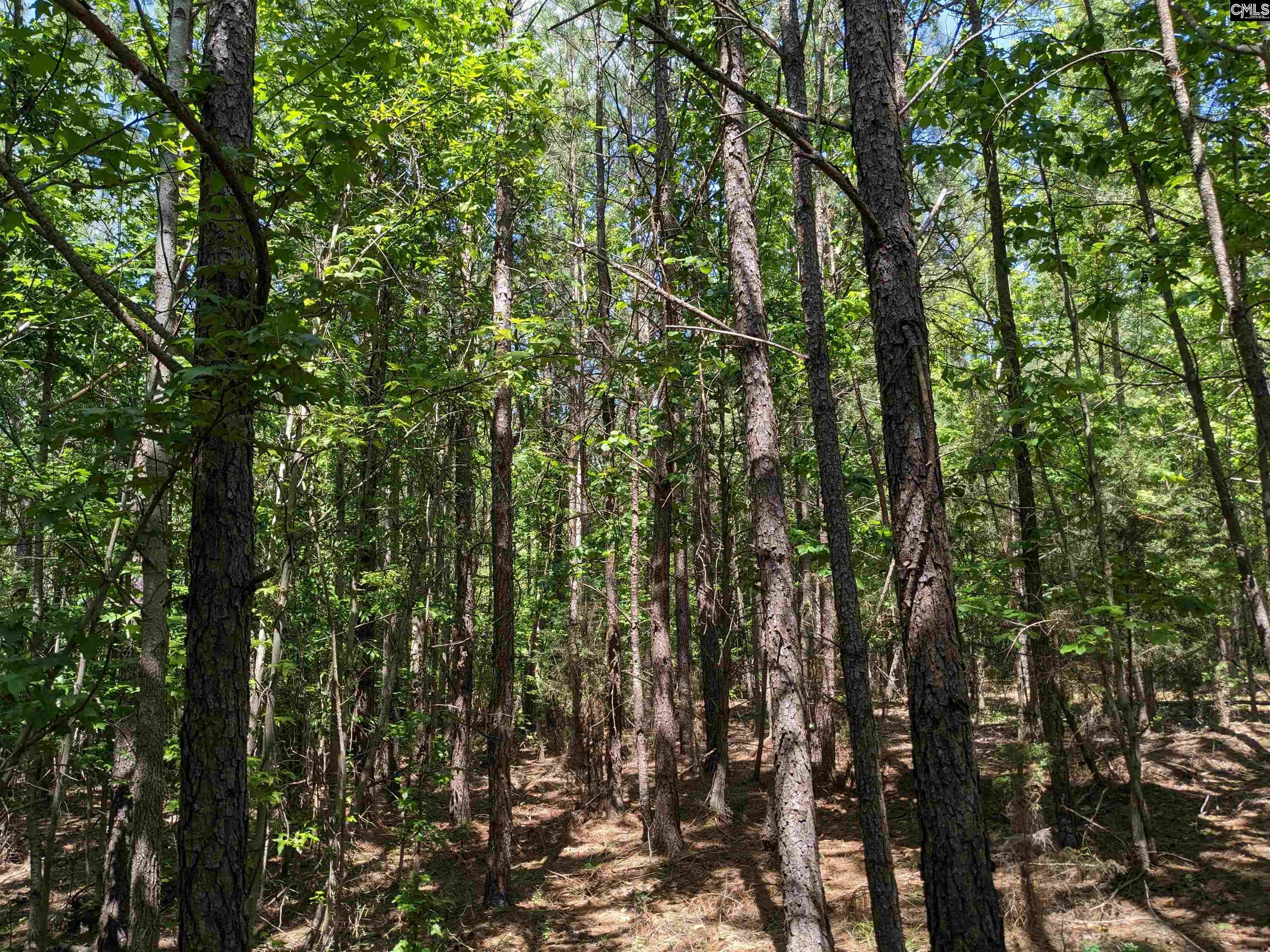 Jewel Drive Winnsboro, SC 29180