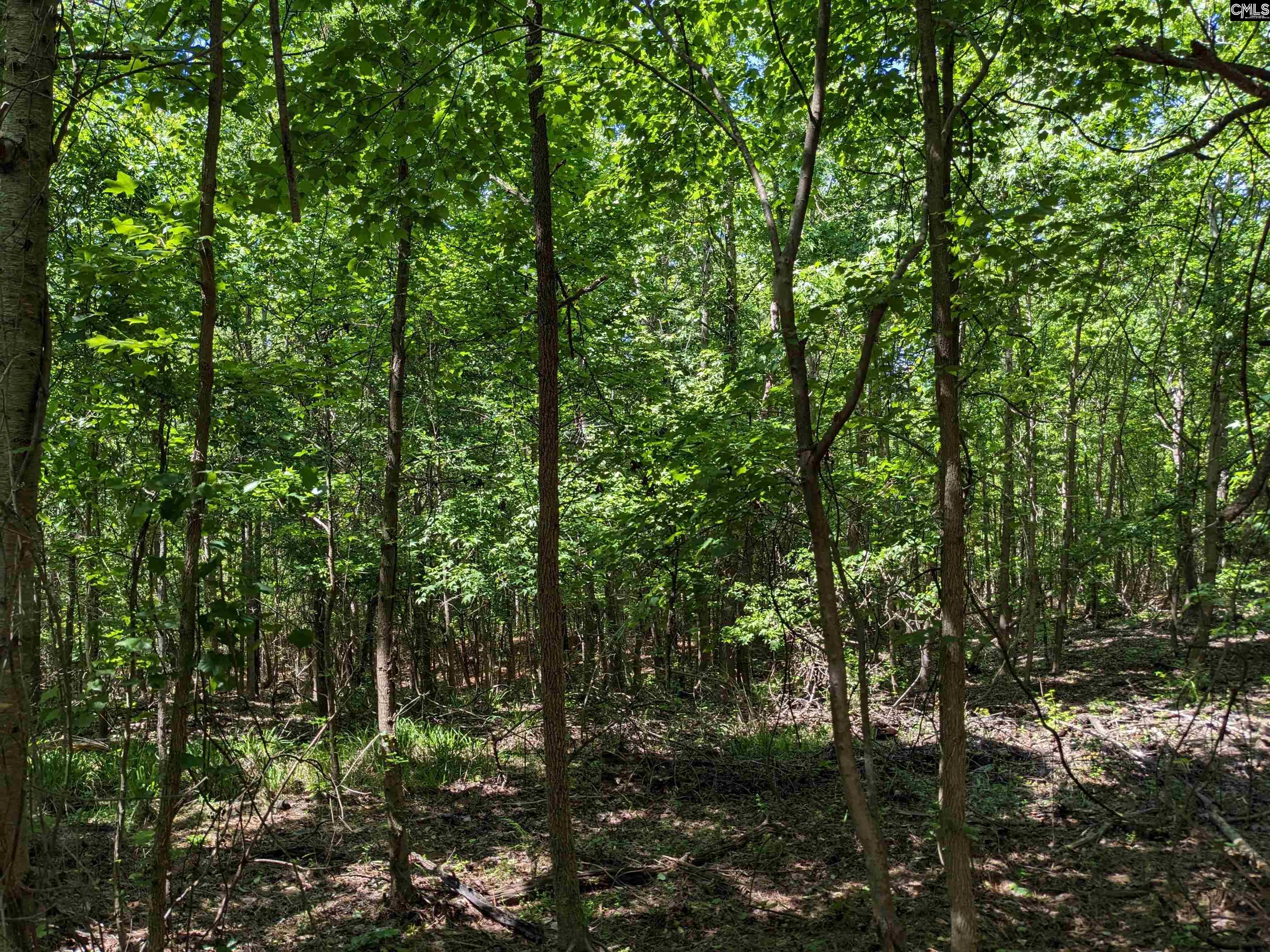 Jewel Drive Winnsboro, SC 29180