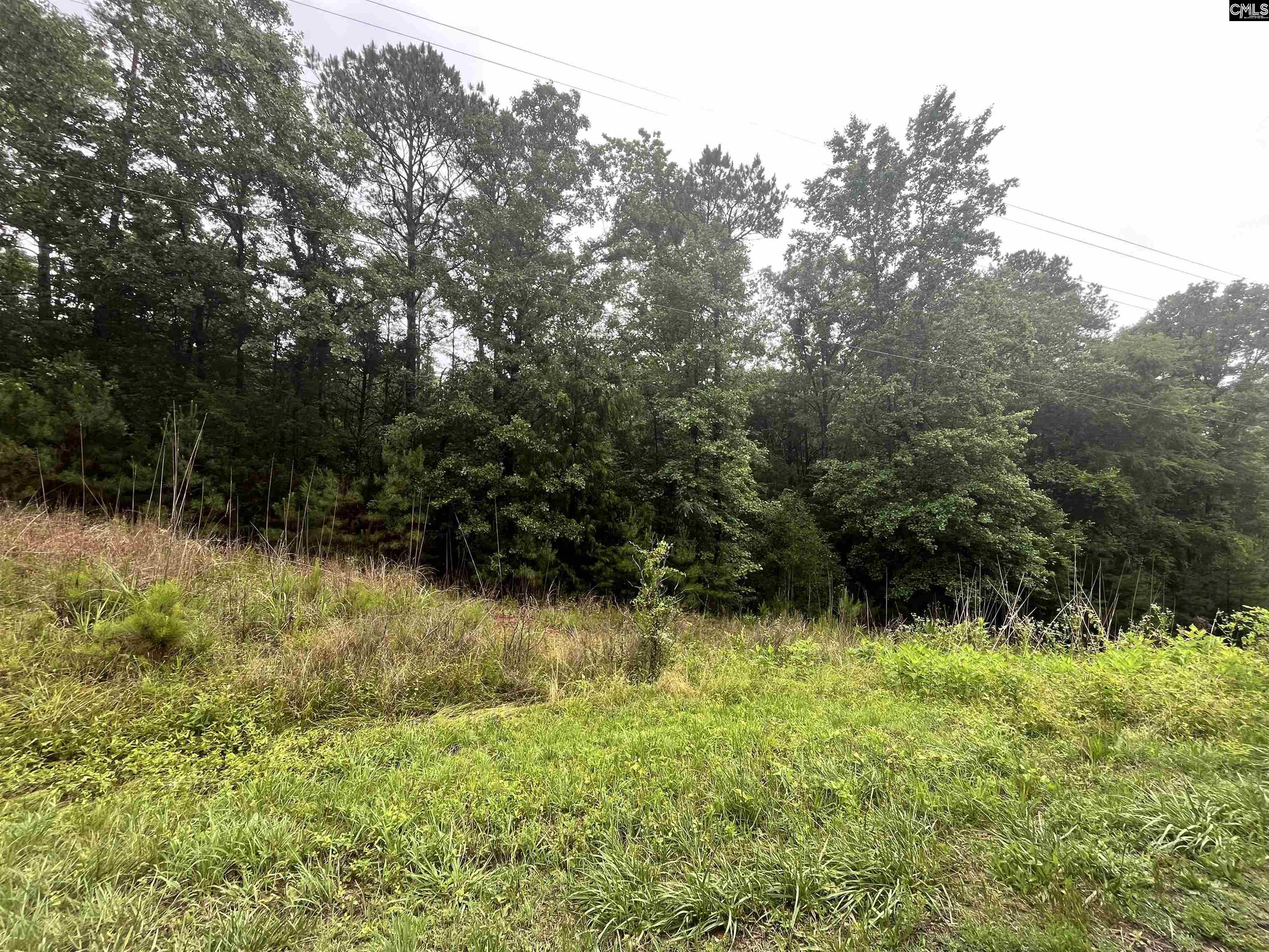 Carlisle Whitmire Hwy Whitmire, SC 29178