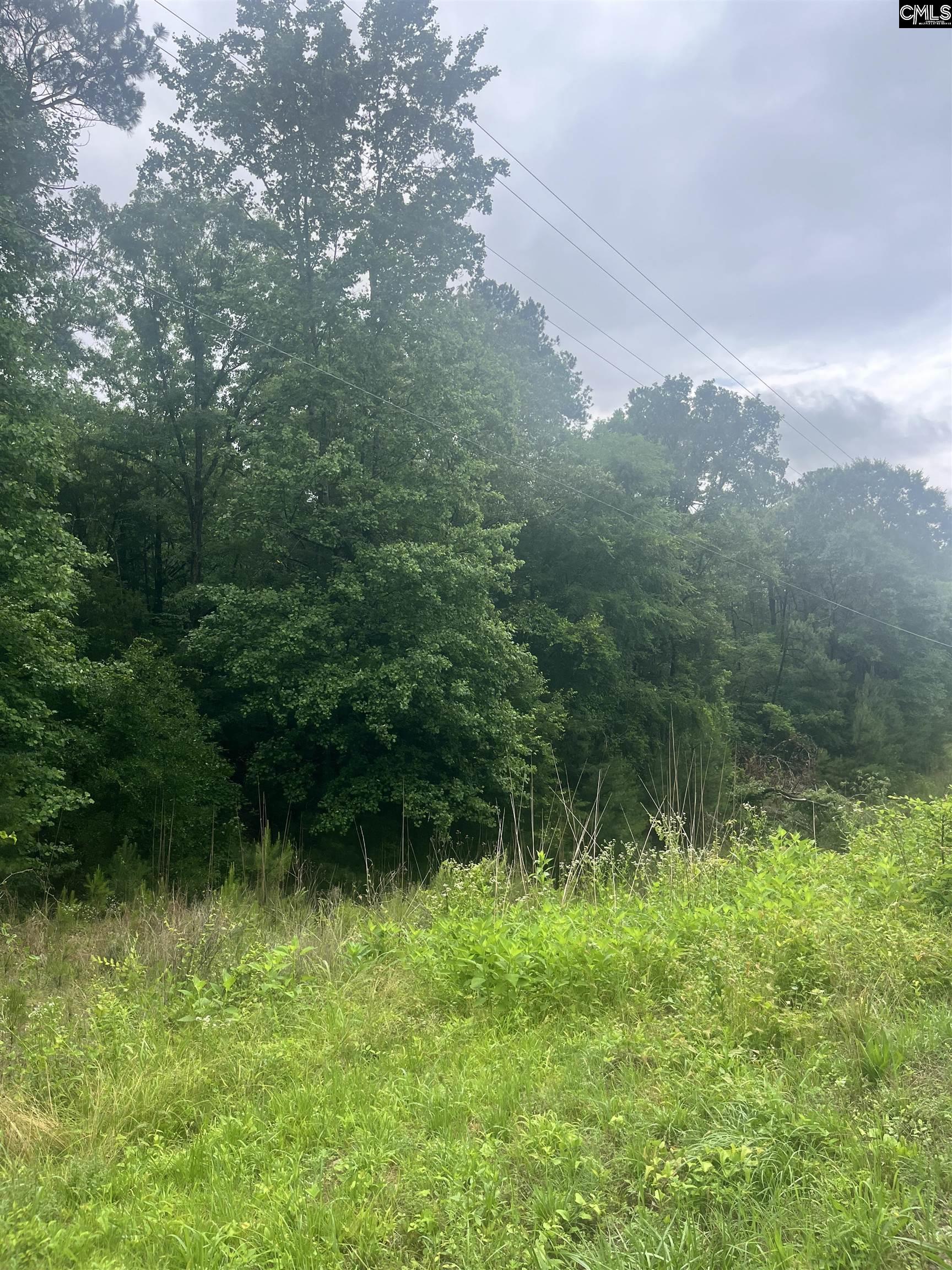 Carlisle Whitmire Hwy Whitmire, SC 29178