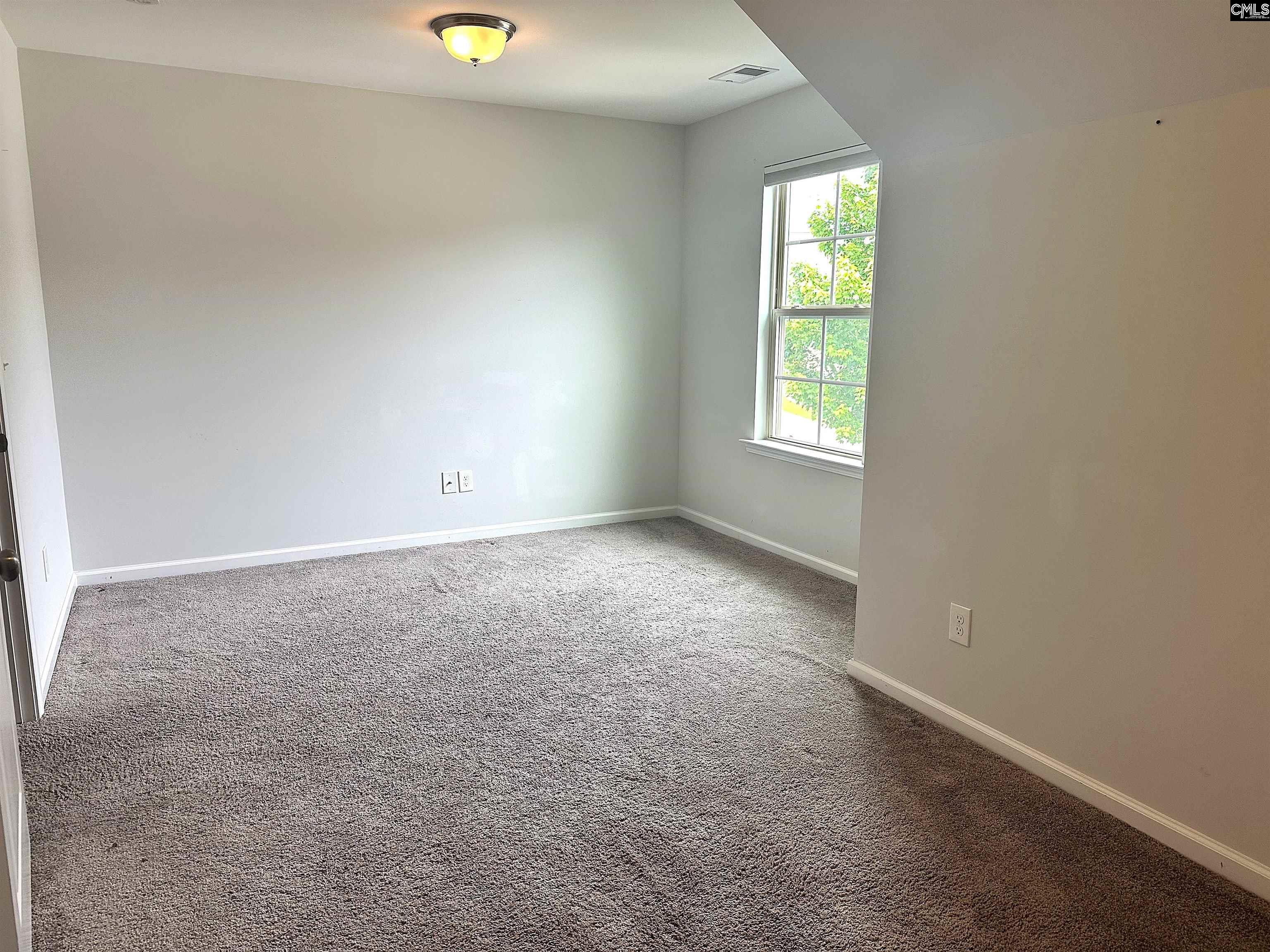 412 Maria Posada Chapin, SC 29036