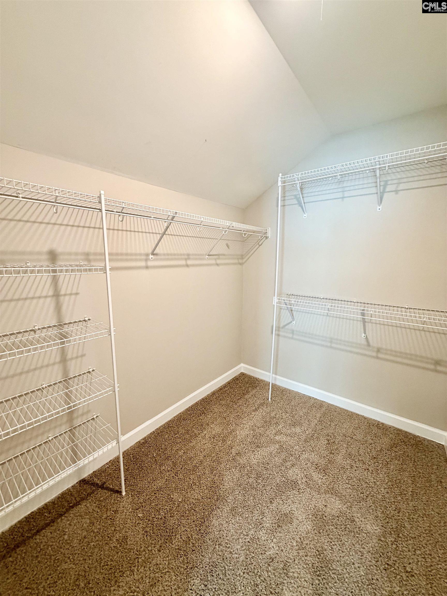 764 Ruskin Drive Chapin, SC 29036