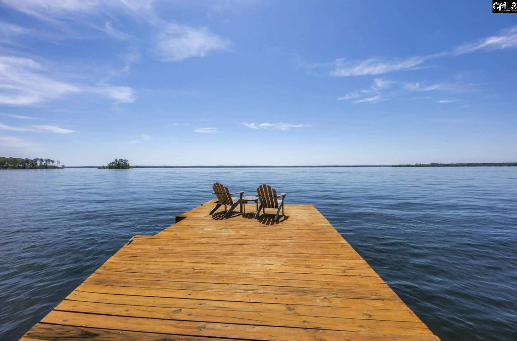 1145 Indian Summer Point Chapin, SC 29036-9721