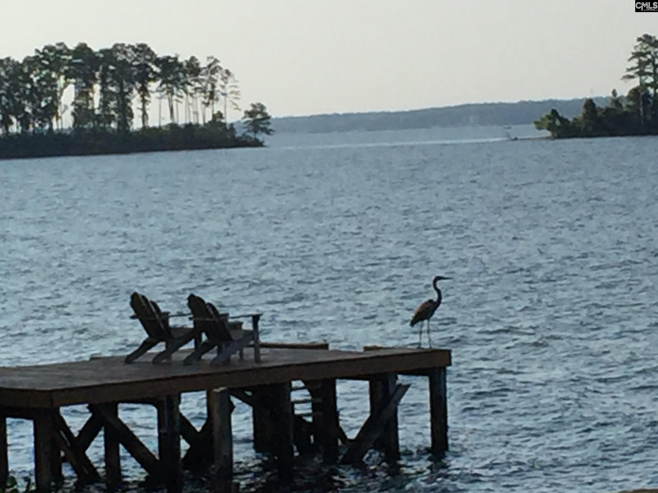 1145 Indian Summer Point Chapin, SC 29036-9721
