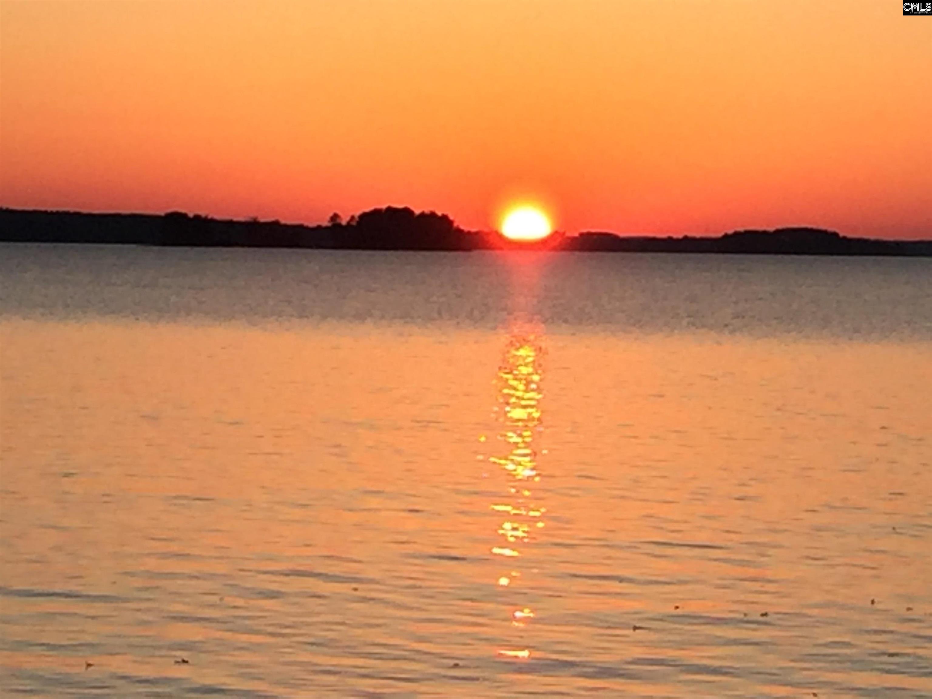 1145 Indian Summer Point Chapin, SC 29036-9721