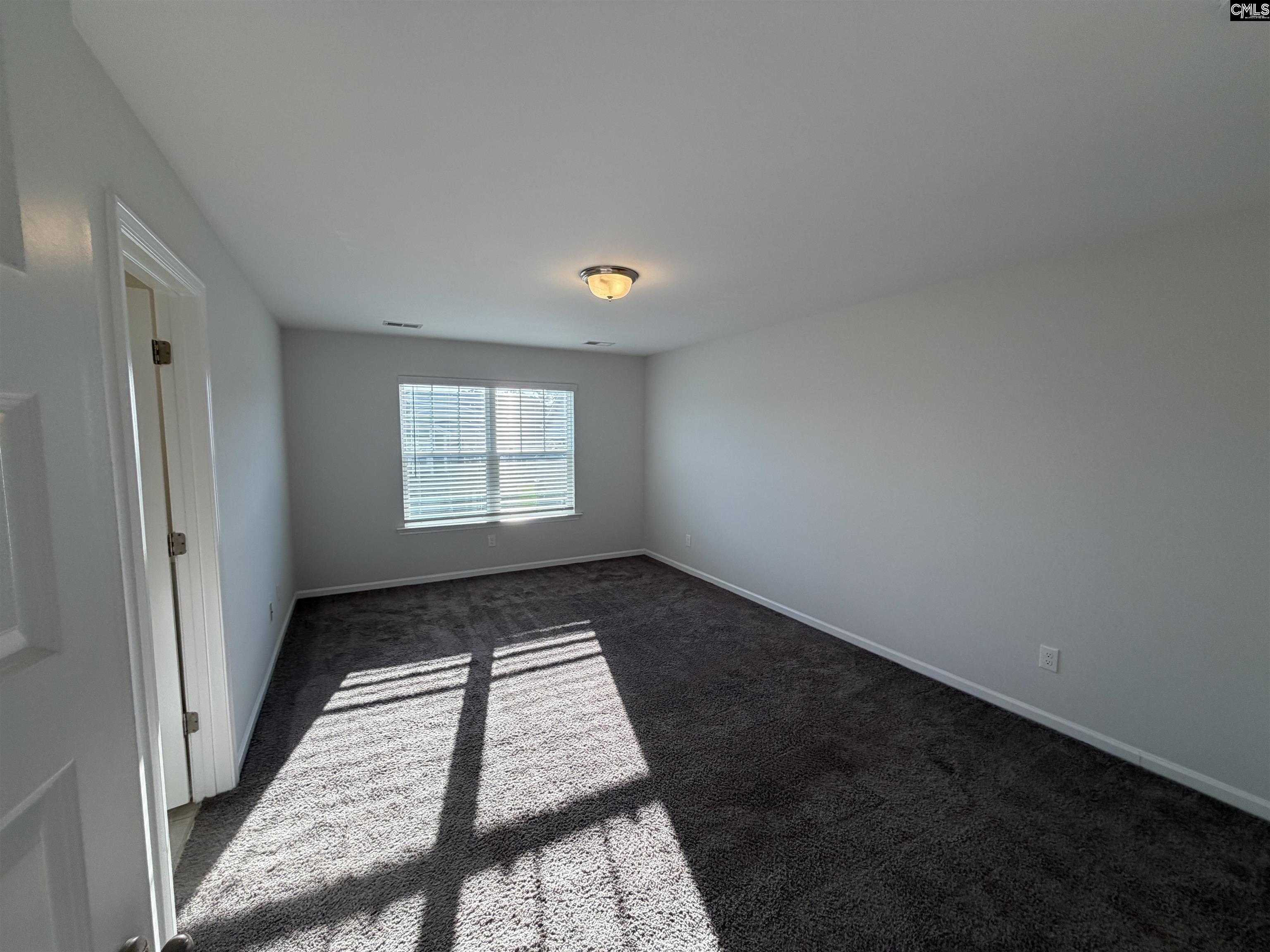 1106 Bergenfield Lane Chapin, SC 29036