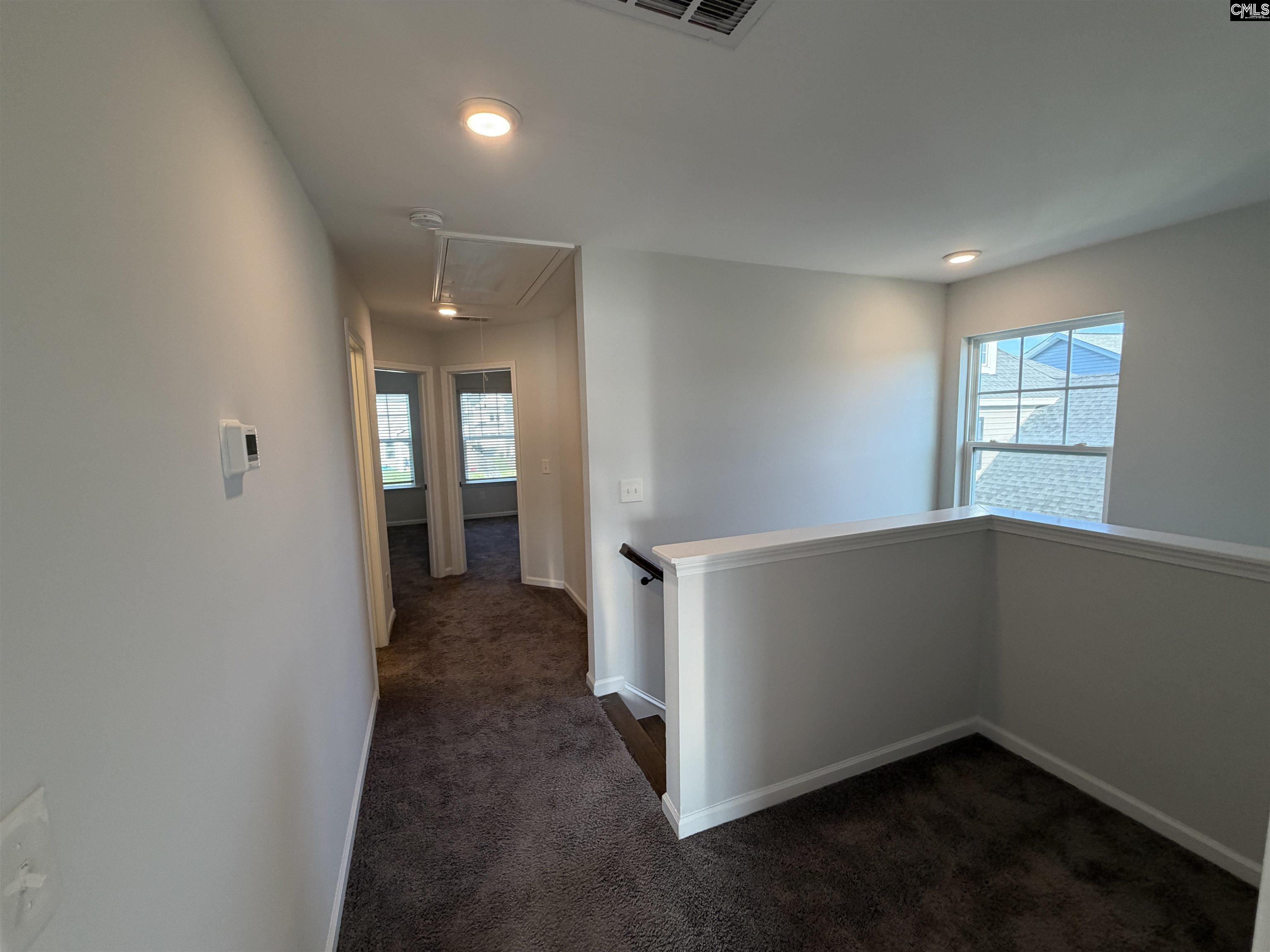1106 Bergenfield Lane Chapin, SC 29036