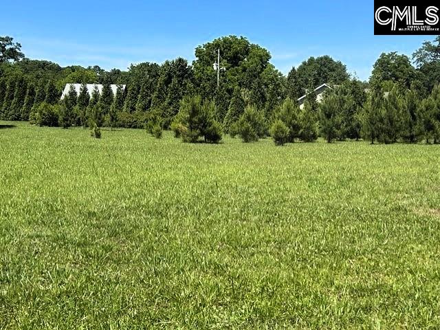 TBD Shady Acres Drive Chapin, SC 29036