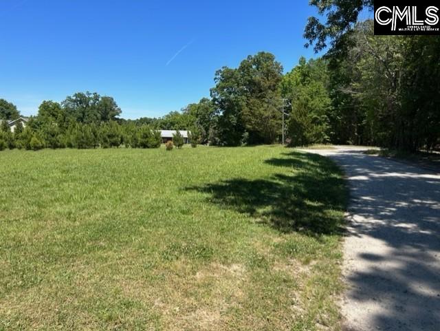 TBD Shady Acres Drive Chapin, SC 29036