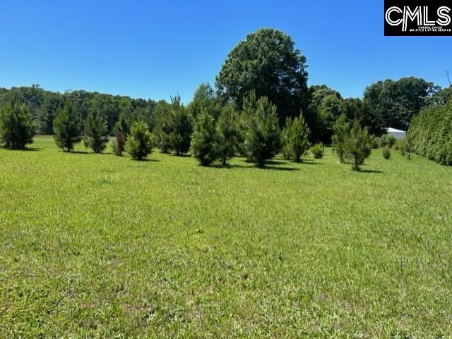 TBD Shady Acres Drive Chapin, SC 29036
