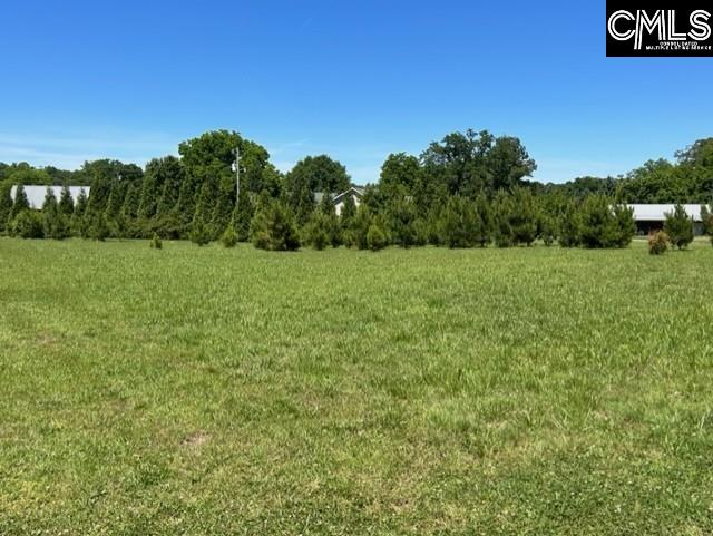 TBD Shady Acres Drive Chapin, SC 29036