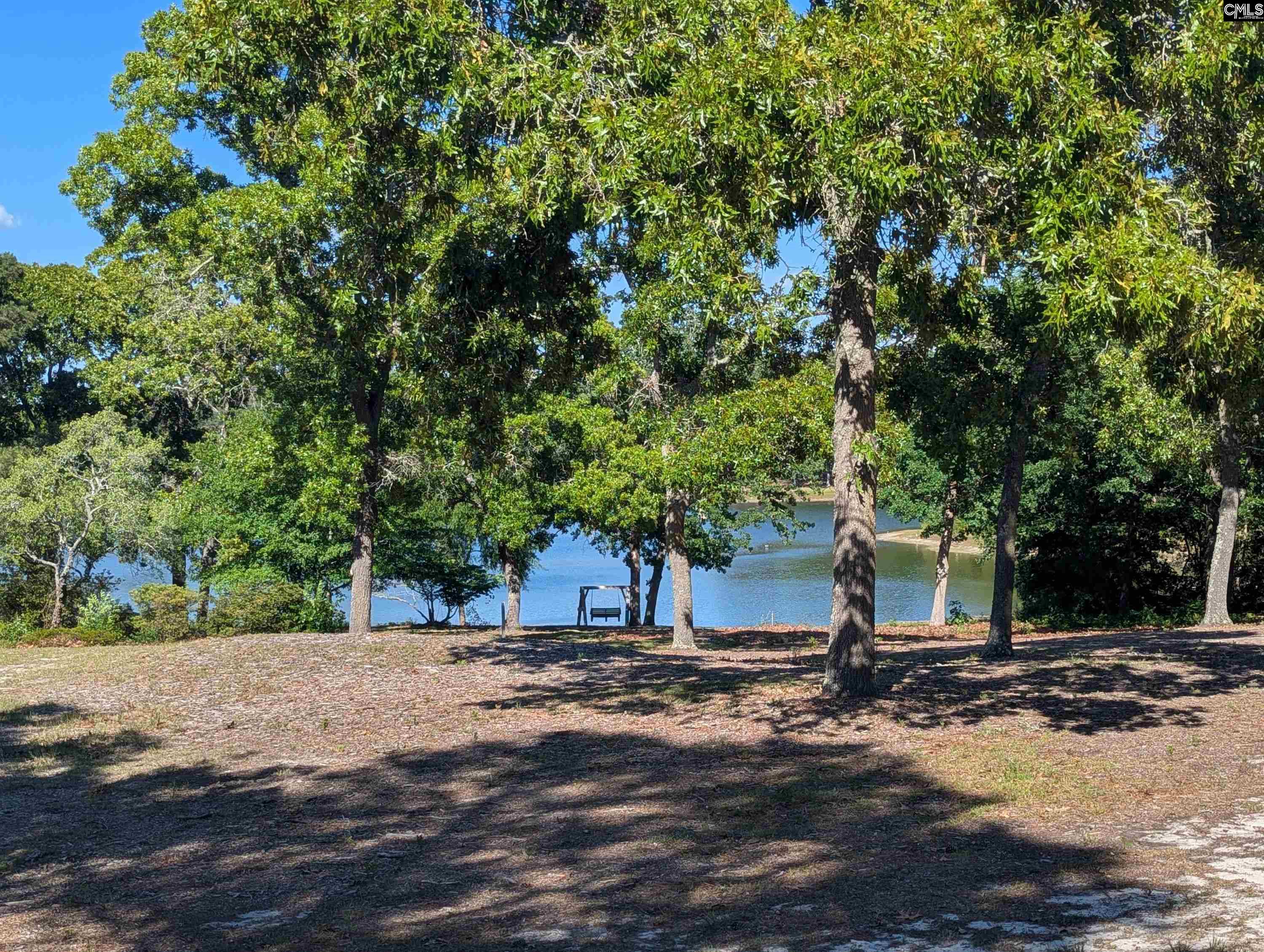 309 E Park Shore Drive Columbia, SC 29223-6020