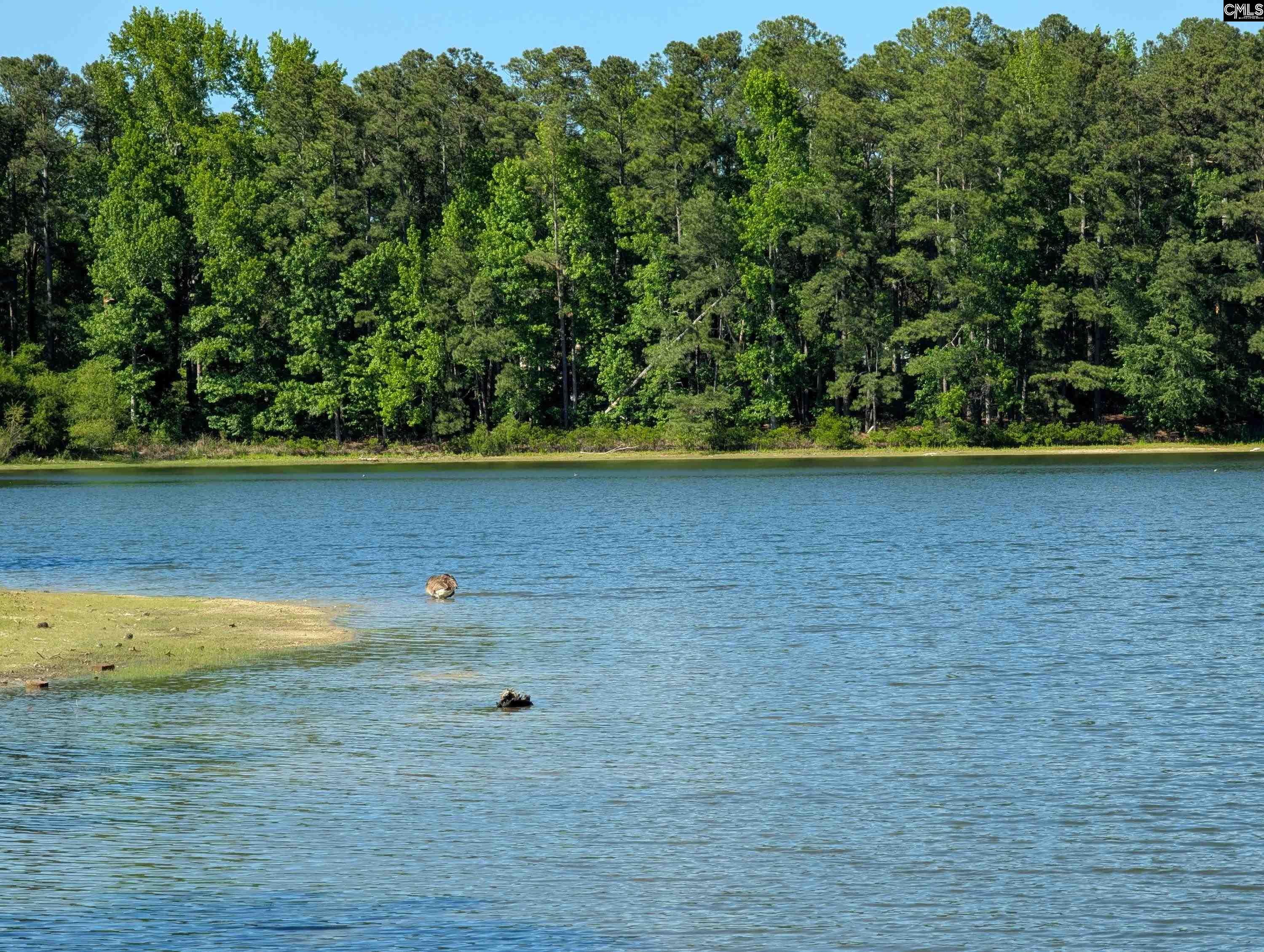 309 E Park Shore Drive Columbia, SC 29223-6020