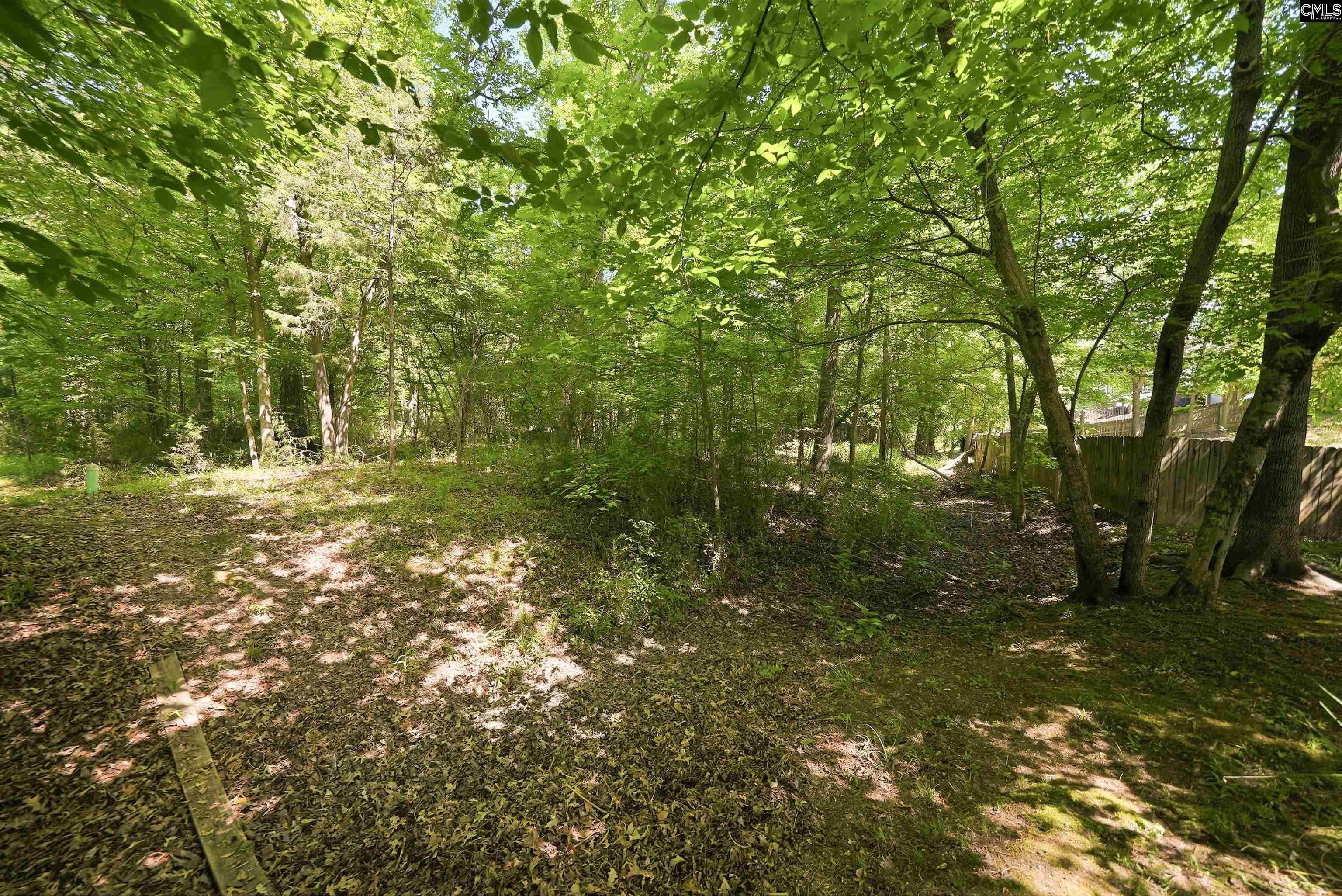 204 Saints Creek Lane Irmo, SC 29063