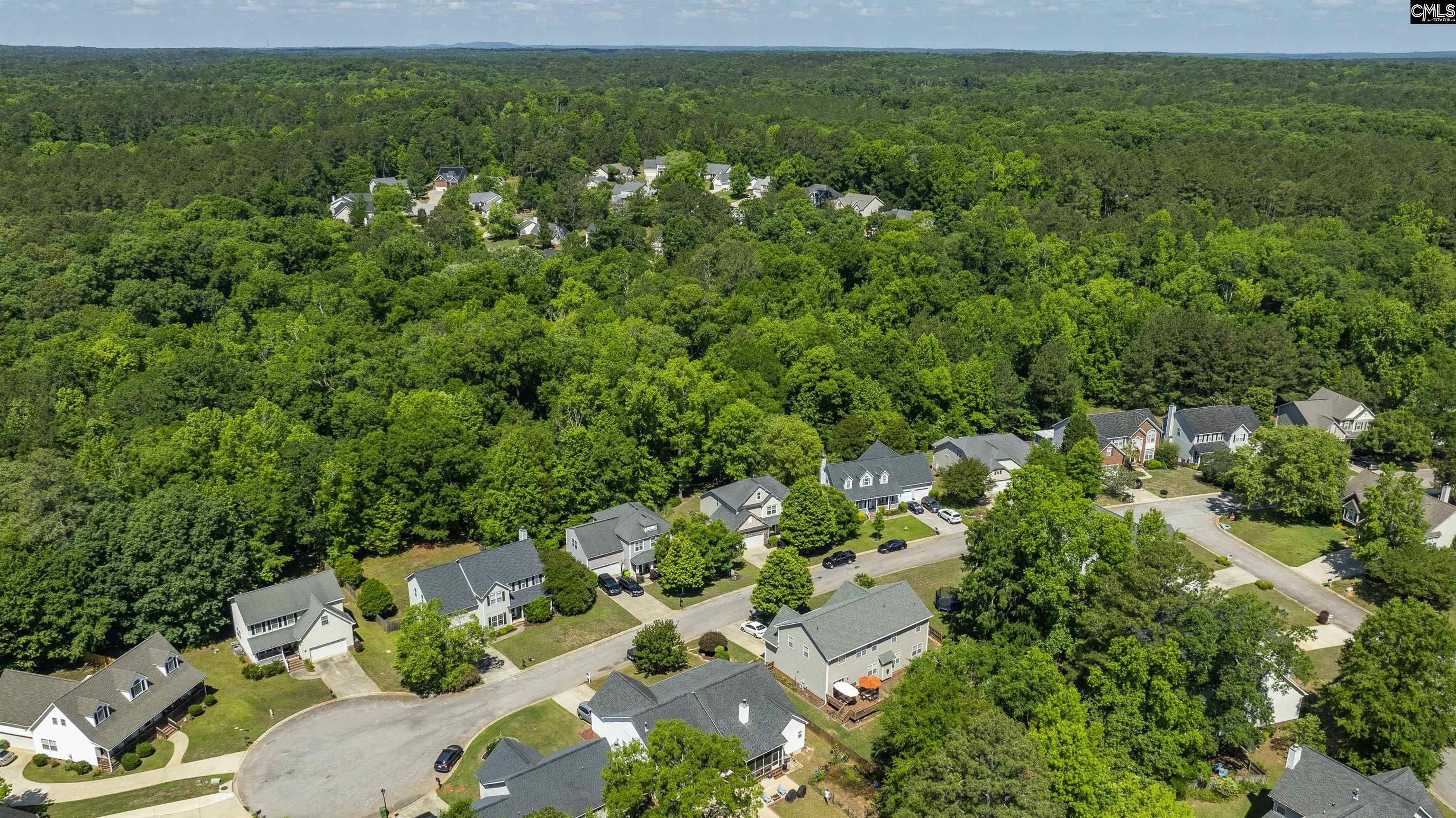 204 Saints Creek Lane Irmo, SC 29063