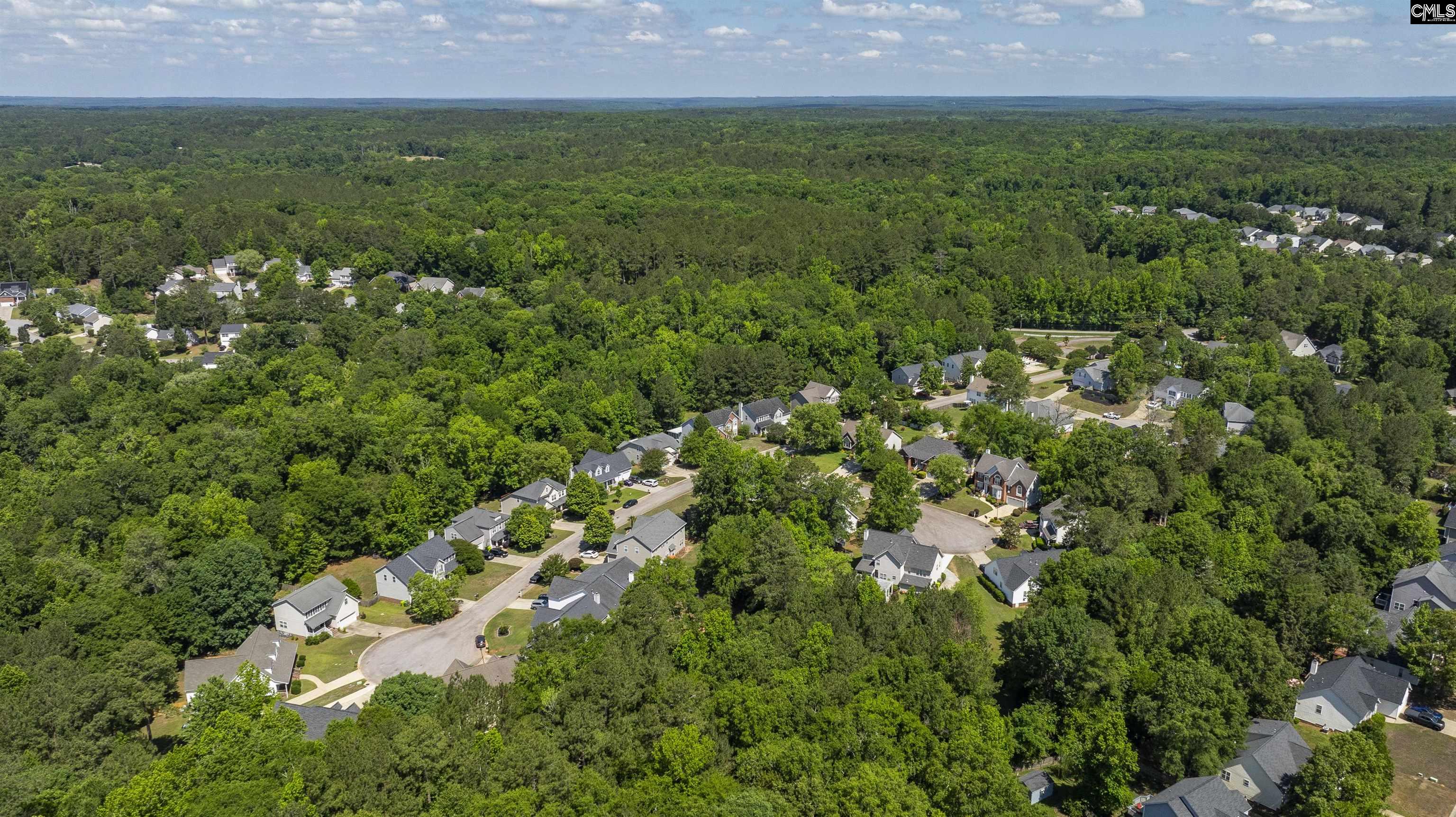 204 Saints Creek Lane Irmo, SC 29063