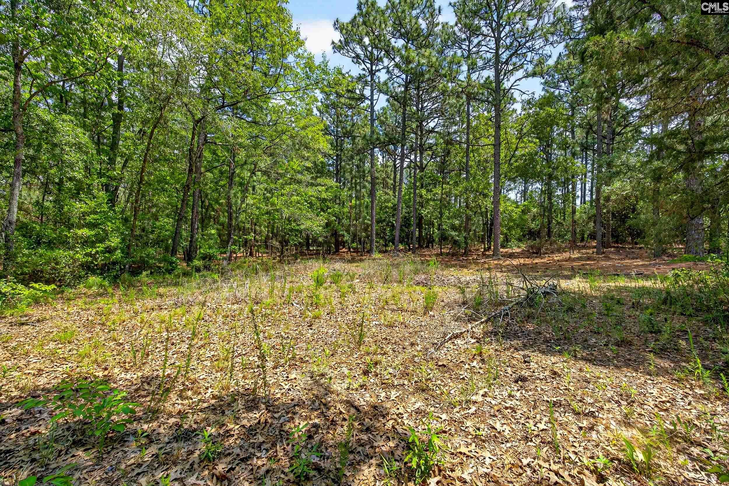 614 Longs Pond Road Lexington, SC 29073