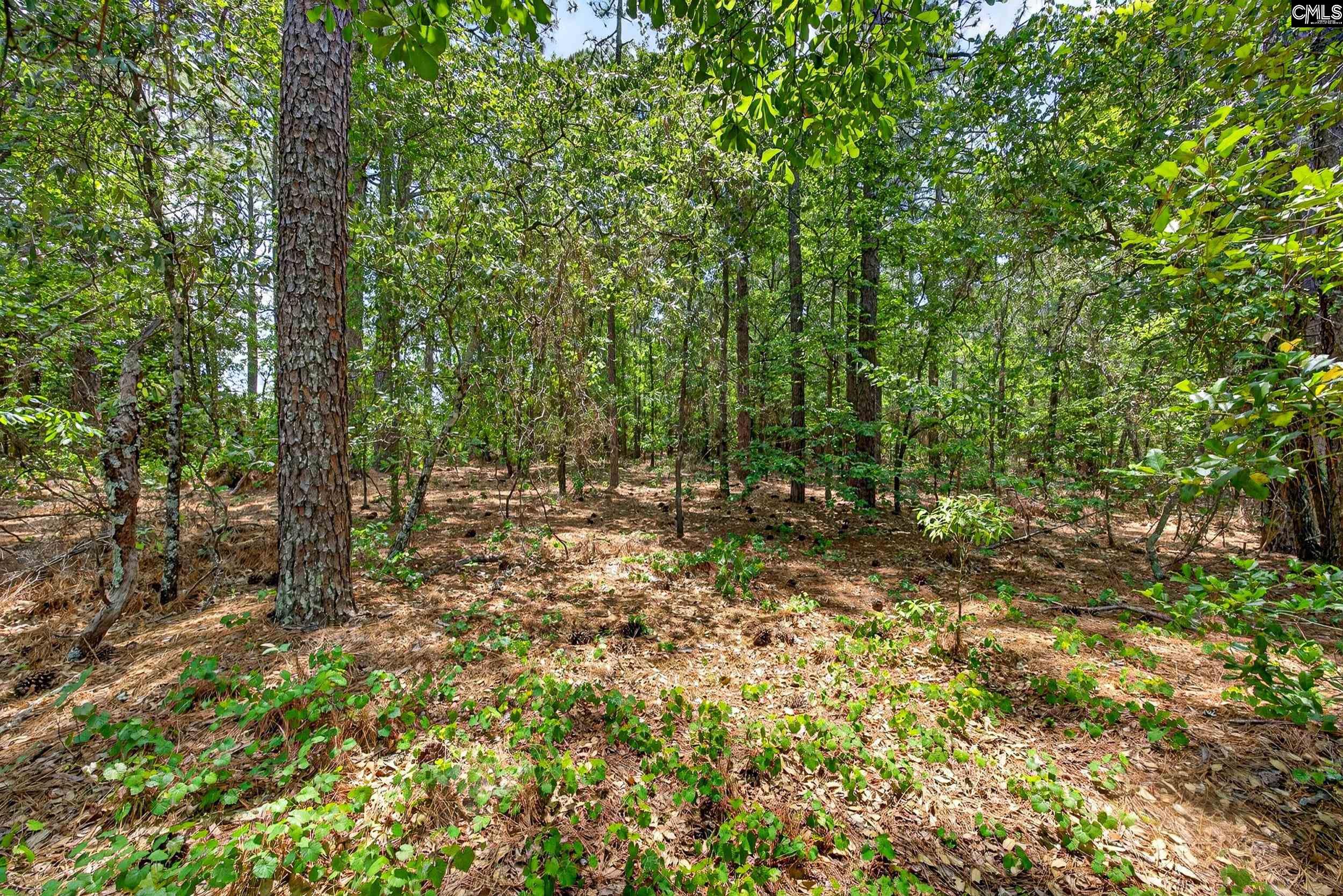 614 Longs Pond Road Lexington, SC 29073
