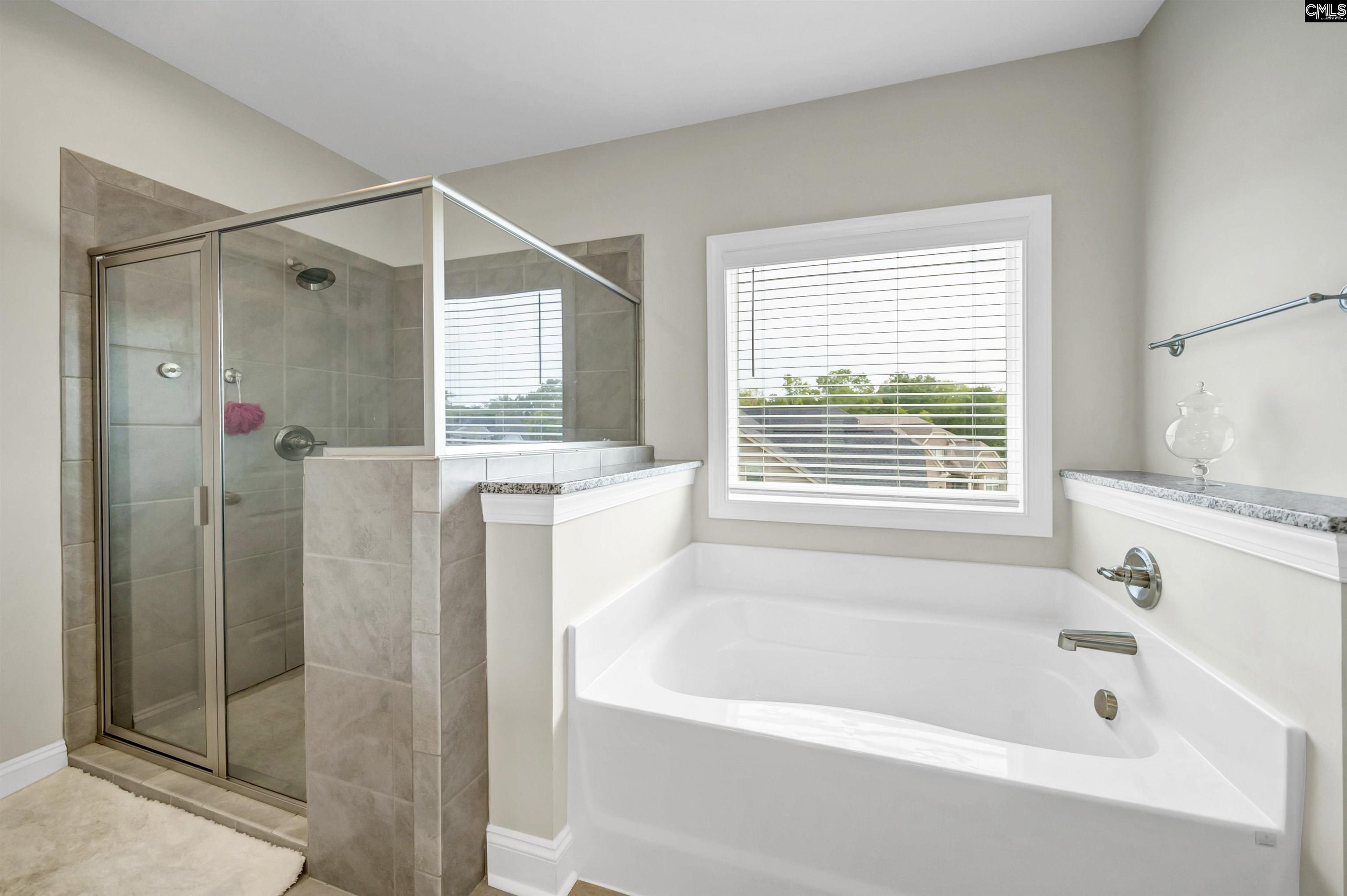 304 Springbrook Way Chapin, SC 29036